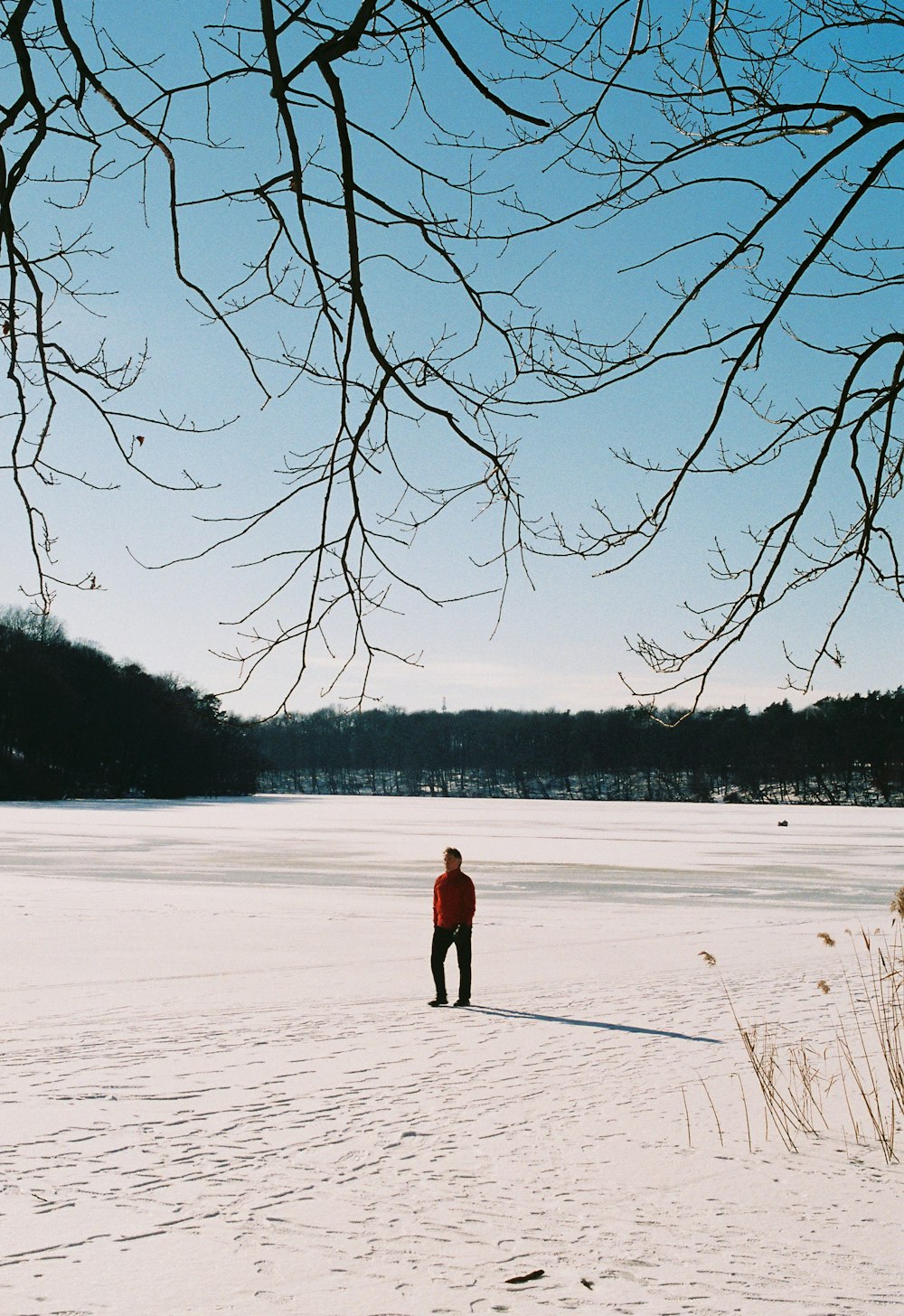 a man standing in the middle of a snow covered field