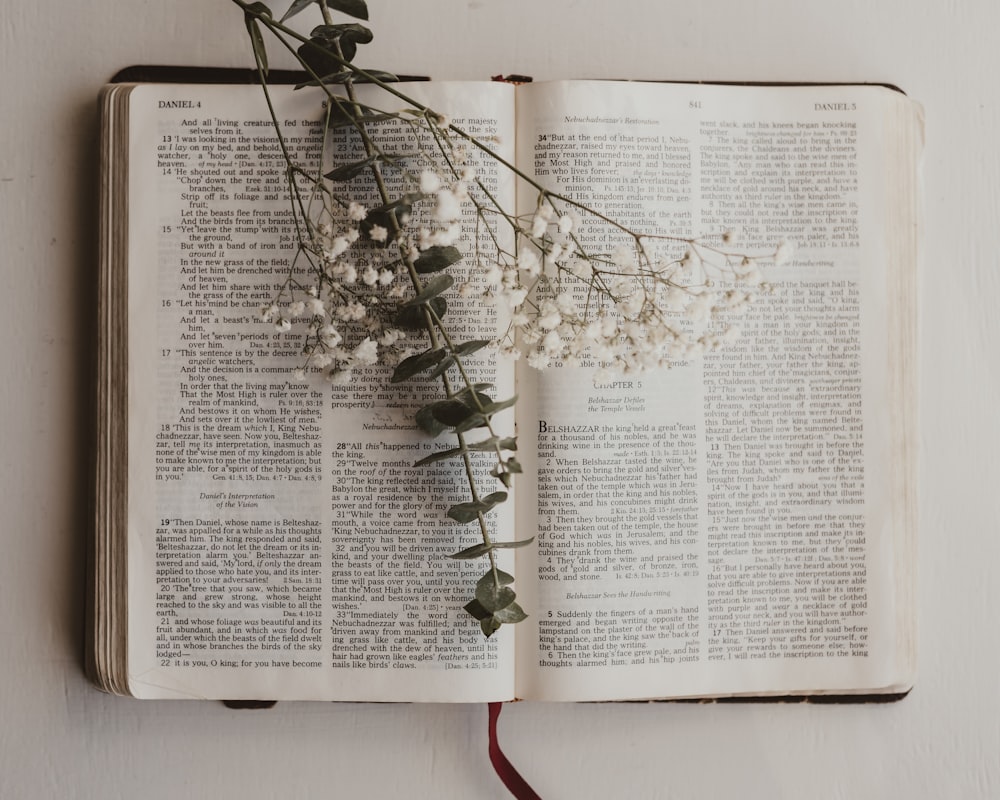 a book with a bunch of flowers on top of it