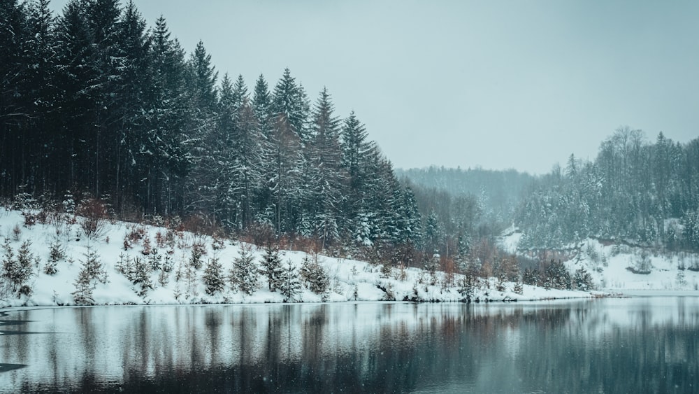 a lake surrounded by trees covered in snow