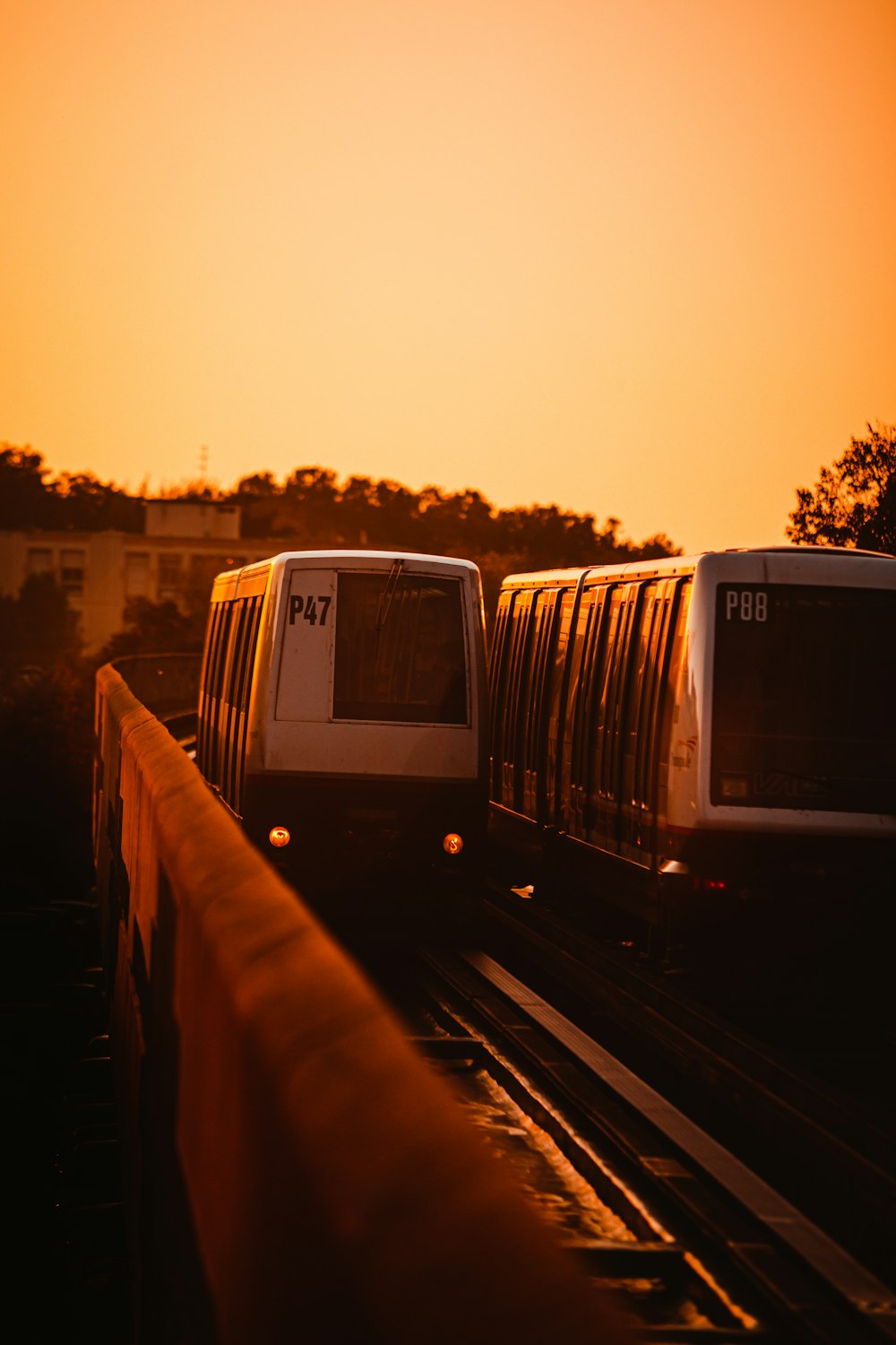 a couple of trains traveling down train tracks