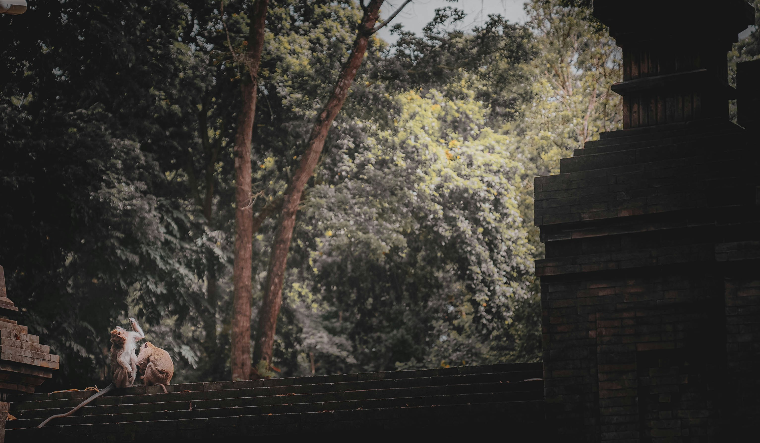 Photo by bertorendon13