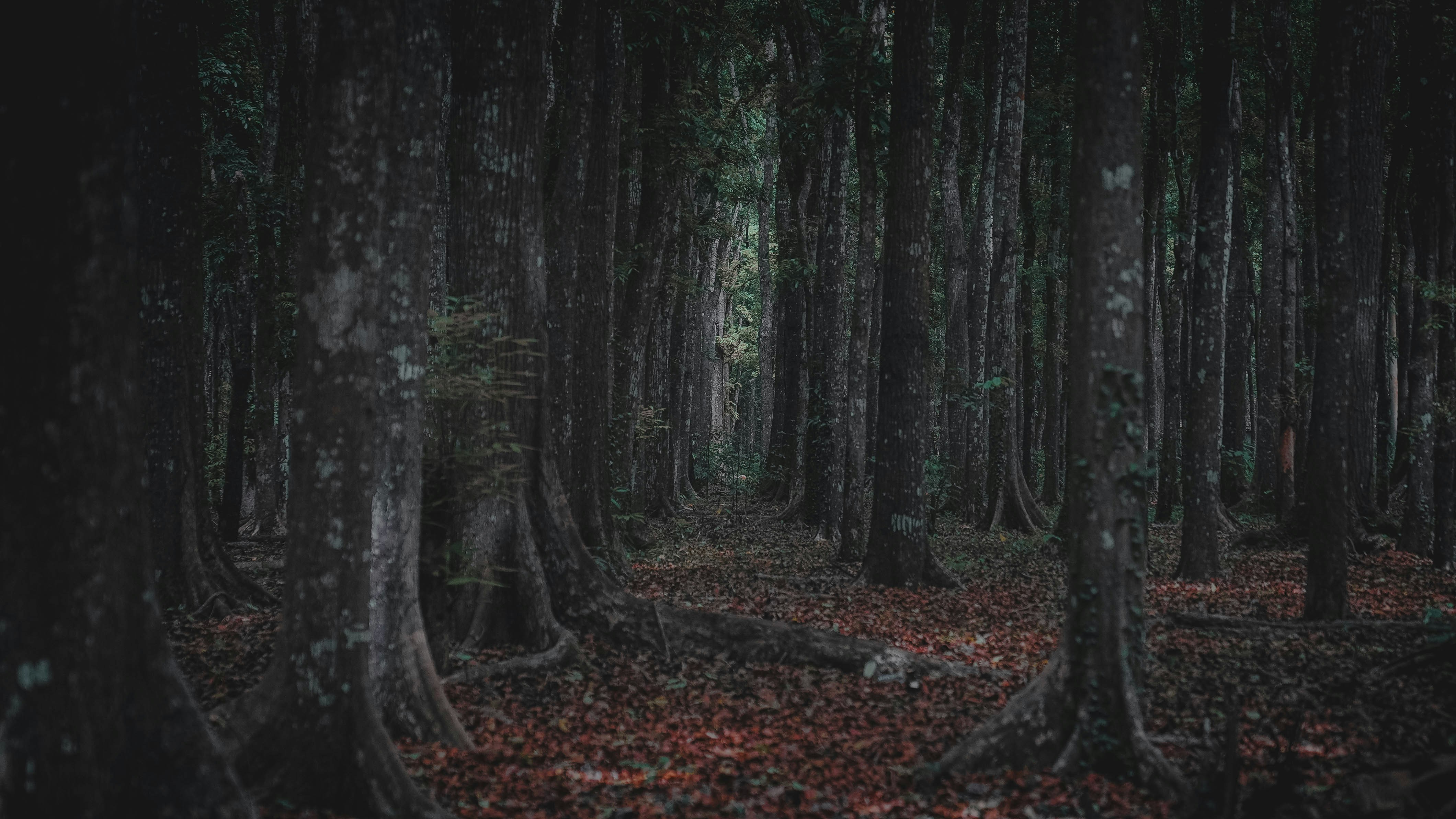 Photo by bertorendon13