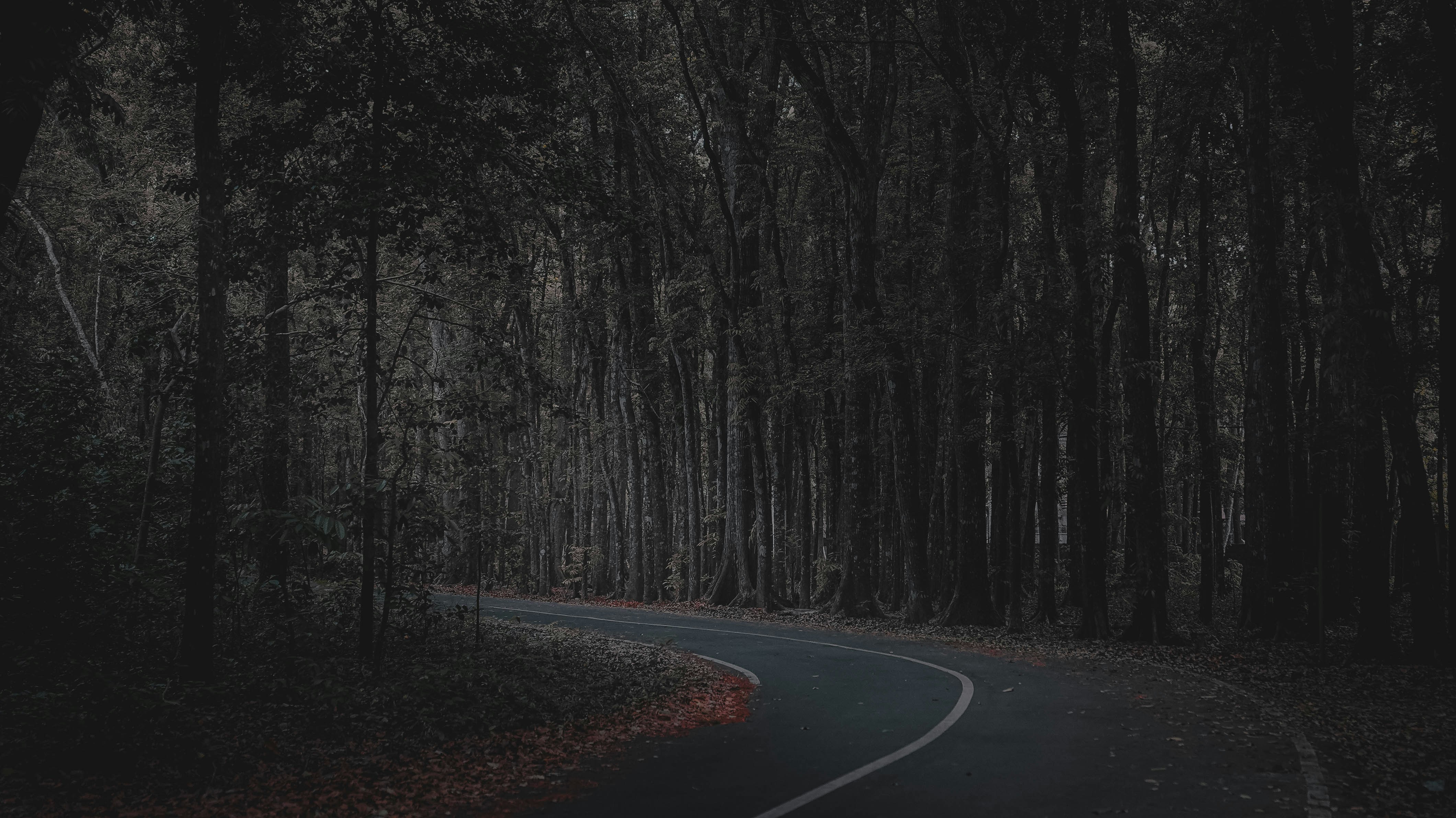 Photo by bertorendon13