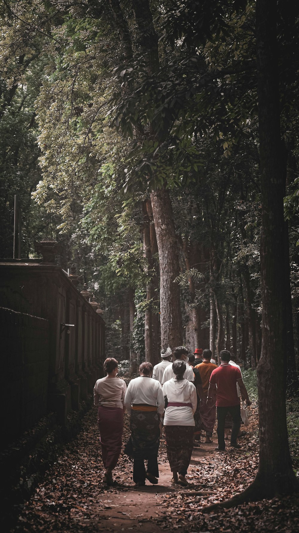 a group of people walking down a path in the woods