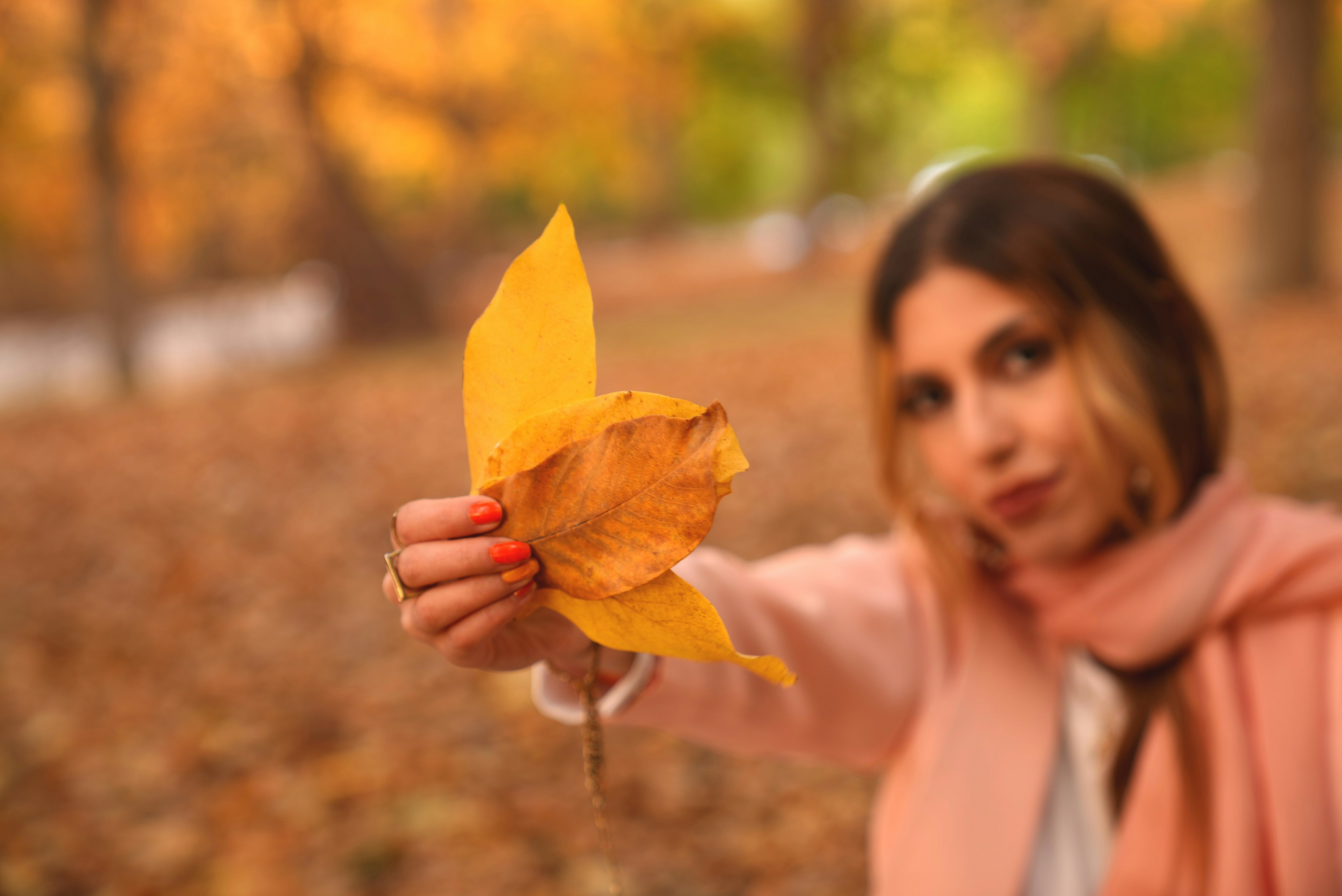 Photo by rafieeartist