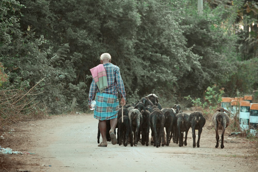 a woman walking down a dirt road with a herd of sheep