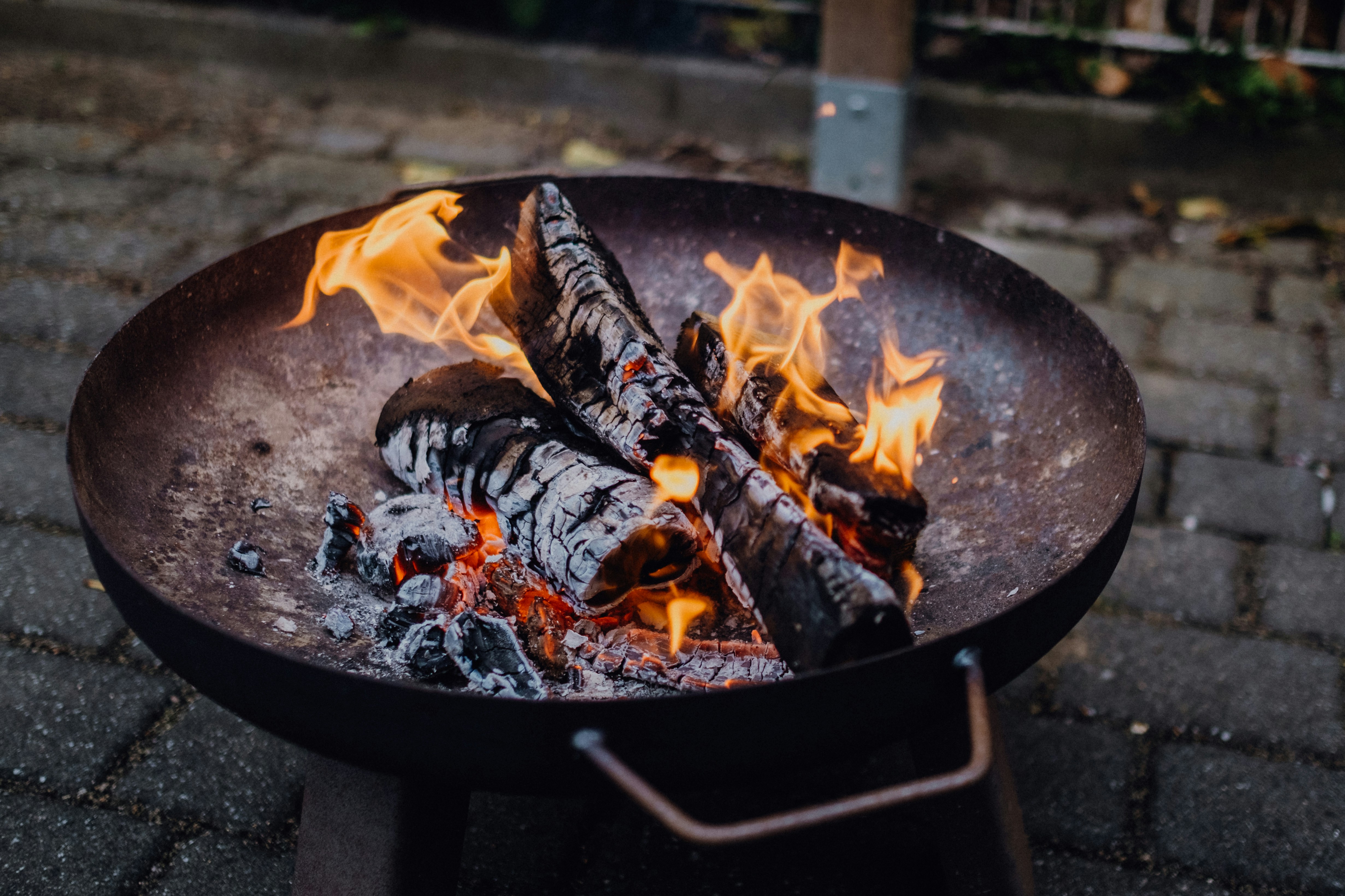 Photo by filipp_roman_photography