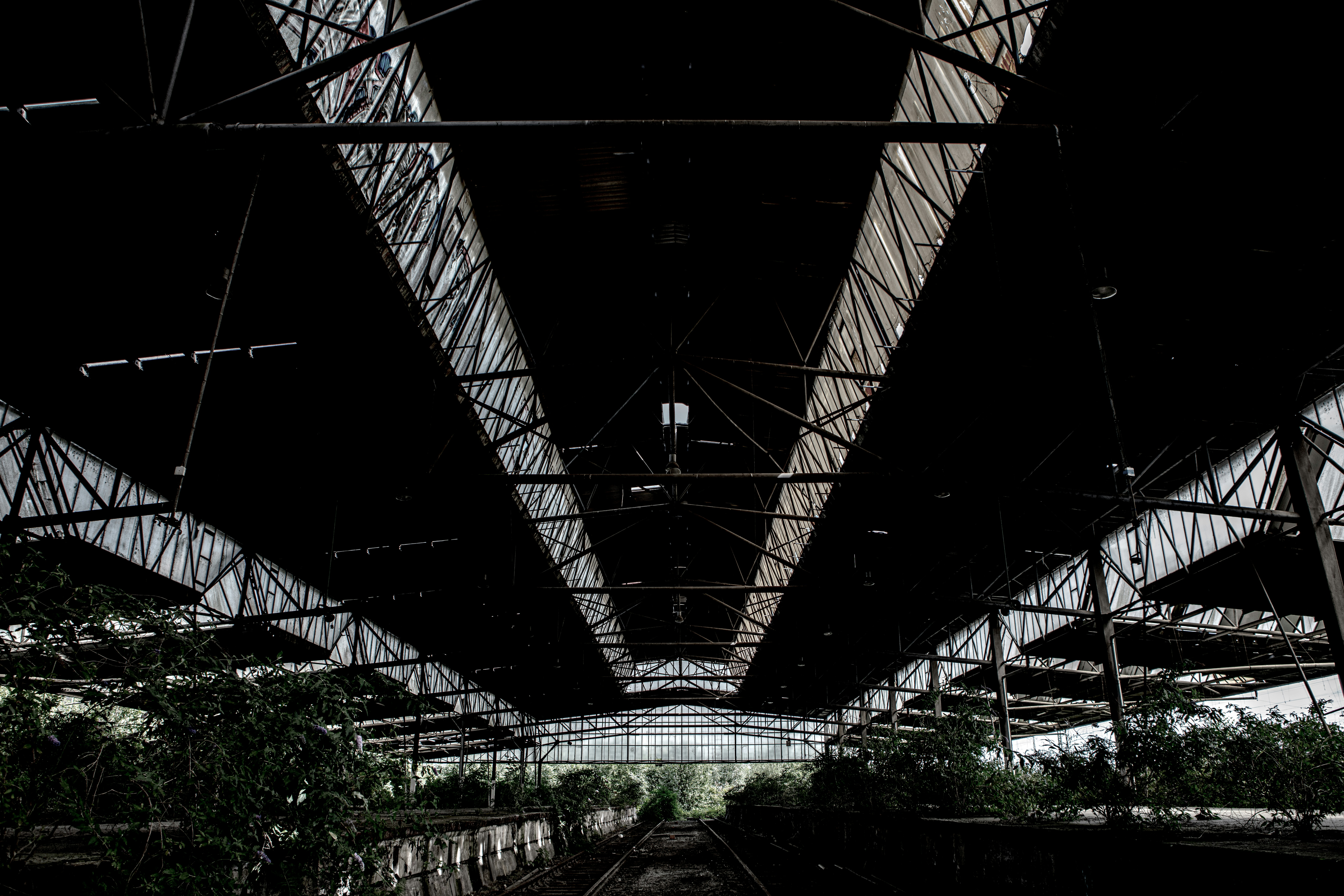 Photo by wilhelmgunkel