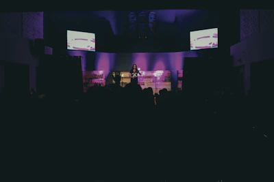 Boss Bunny performing live under moody black and gold stage lights.