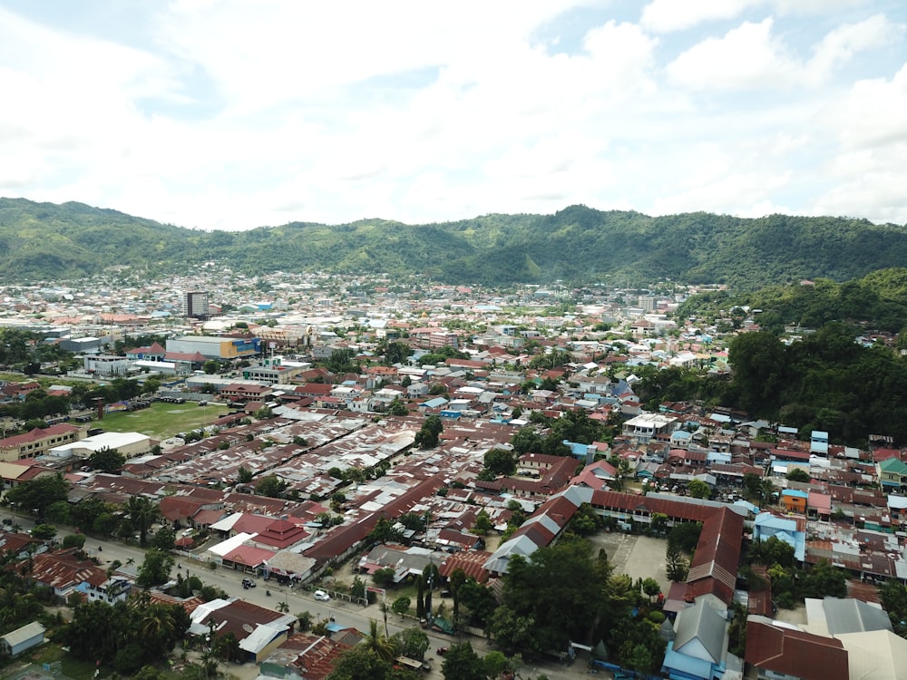 a view of a city with mountains in the background