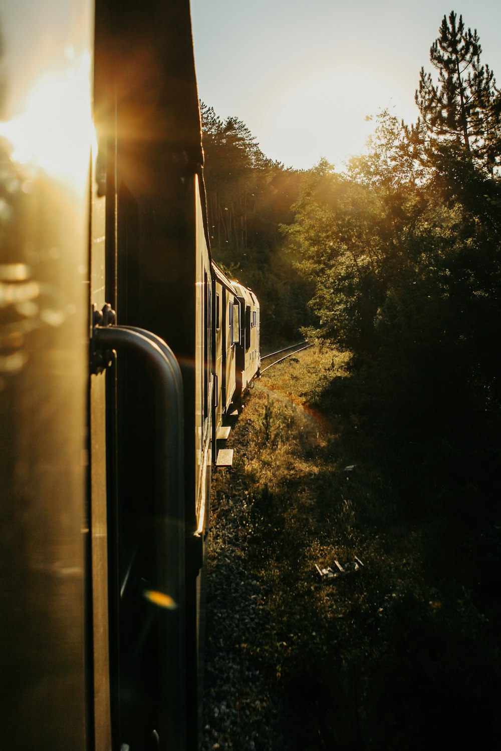 a train traveling down train tracks next to a forest