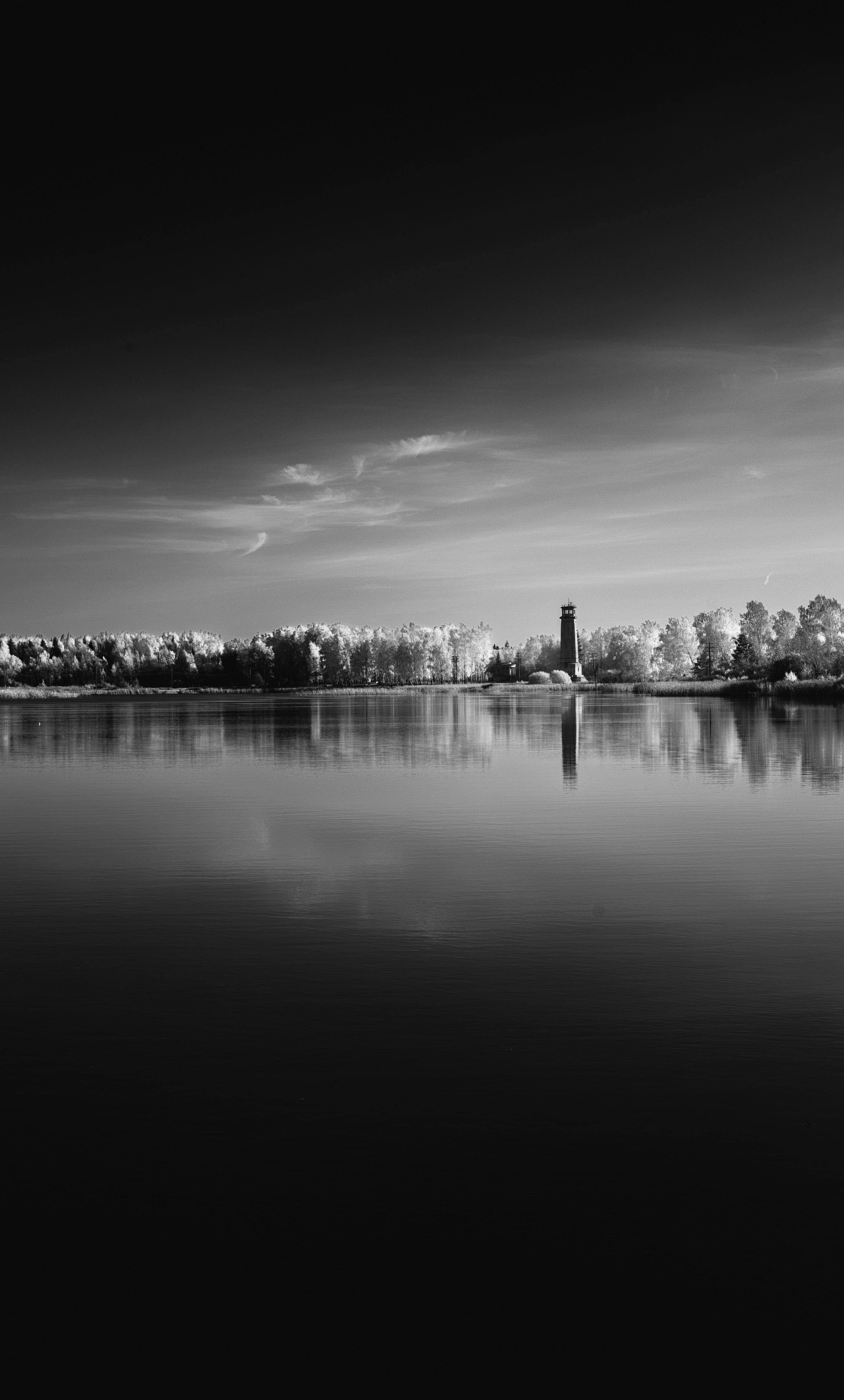 Photo by evil_bumblebee