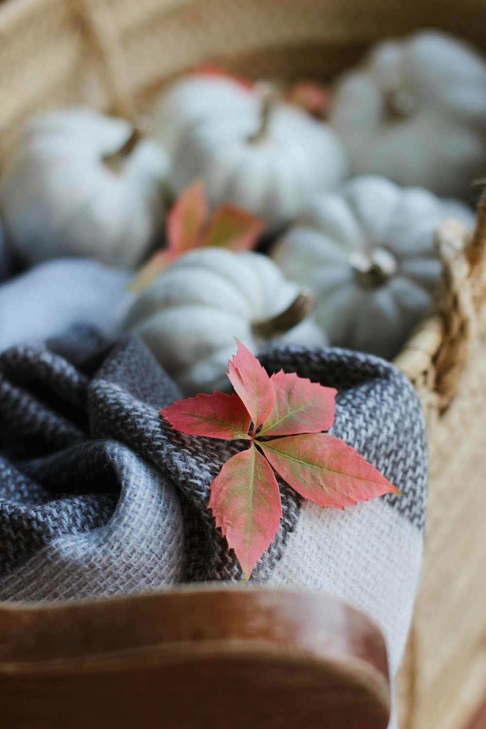 a basket filled with white pumpkins and a red leaf