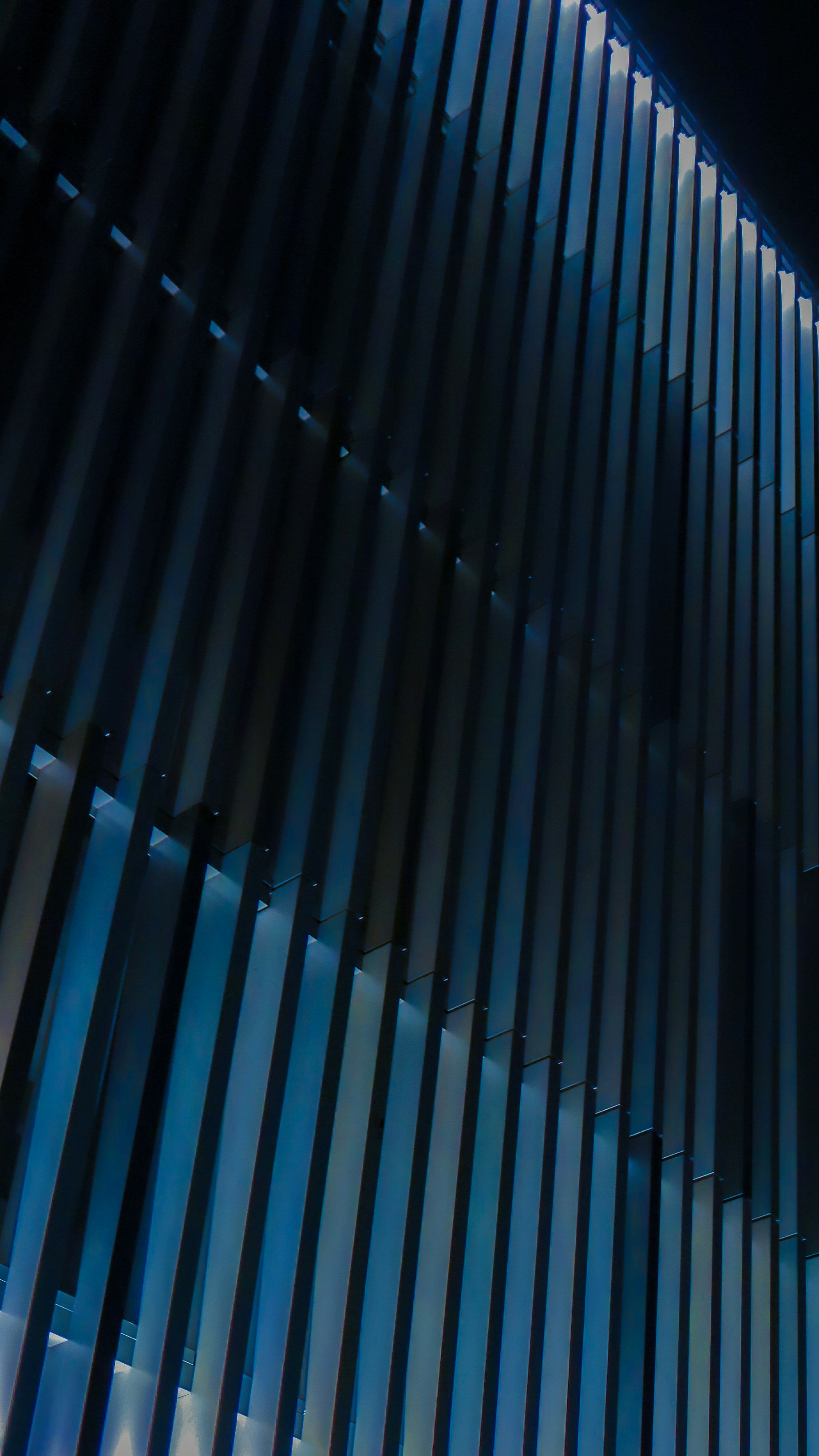 Photo by luisyibirin