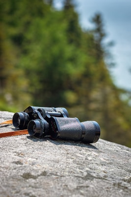 Hunting Optics Guide: Binoculars, Spotting Scopes, Rifle Scopes &amp; Magnification
