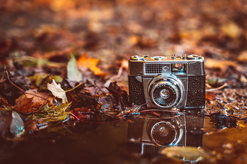 a camera sitting on top of a puddle of water