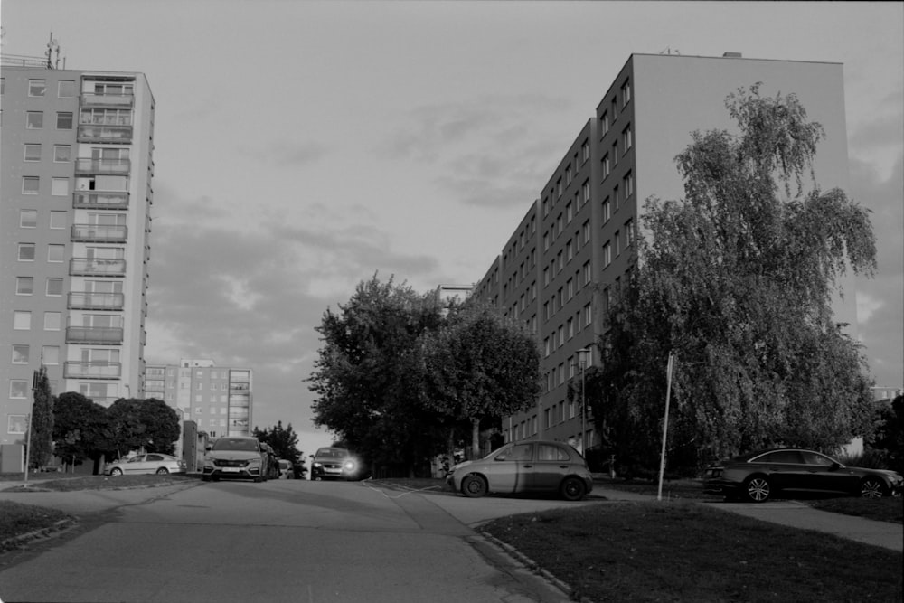 도시 거리의 흑백 사진