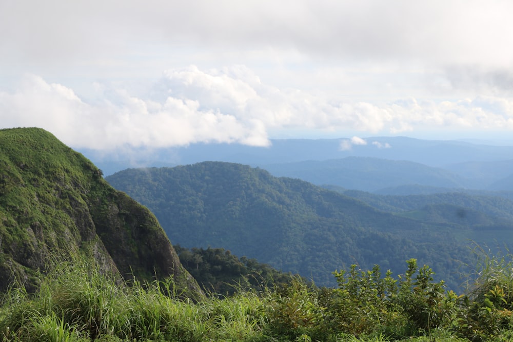 a lush green hillside covered in lush vegetation