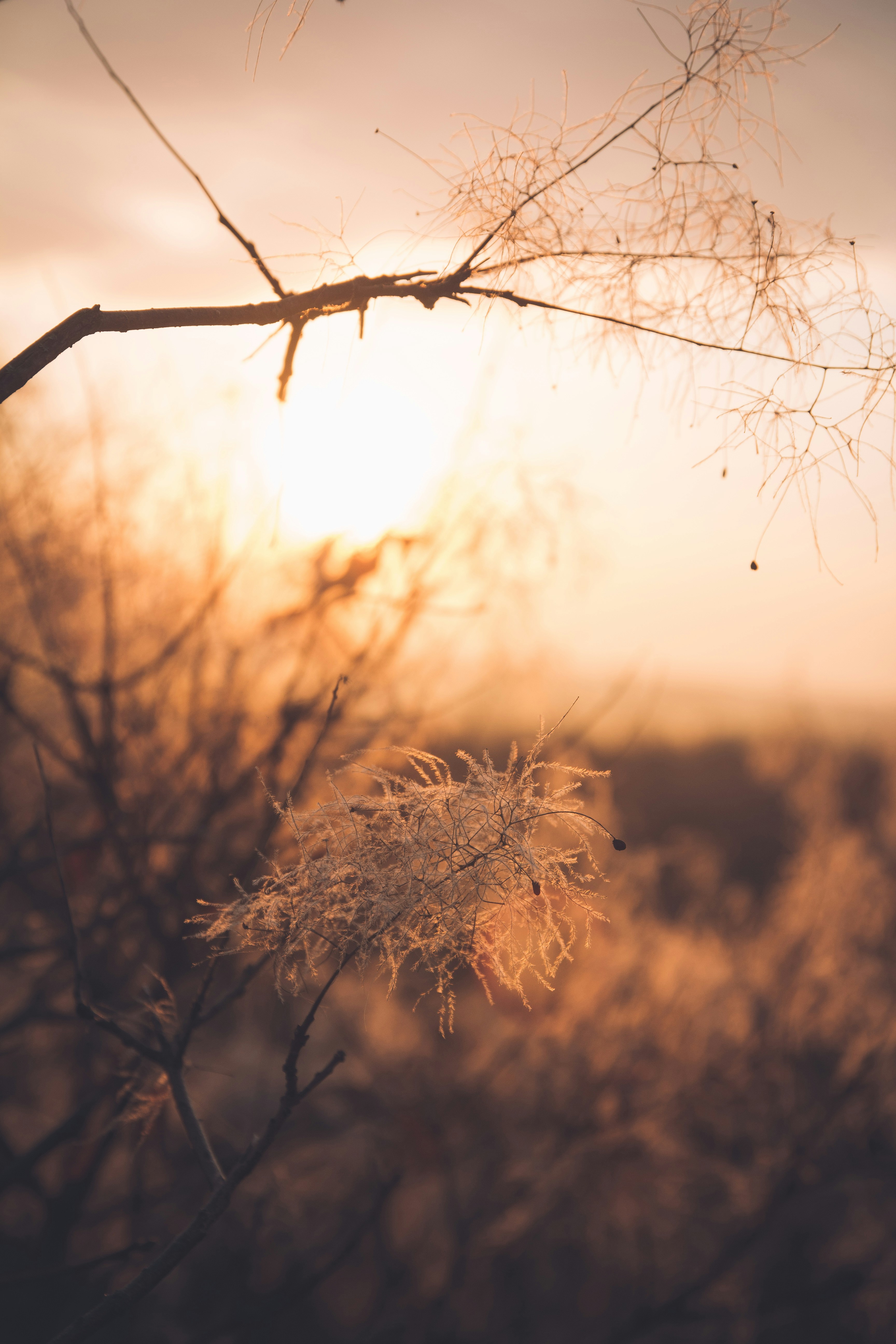 Photo by onmywayhome