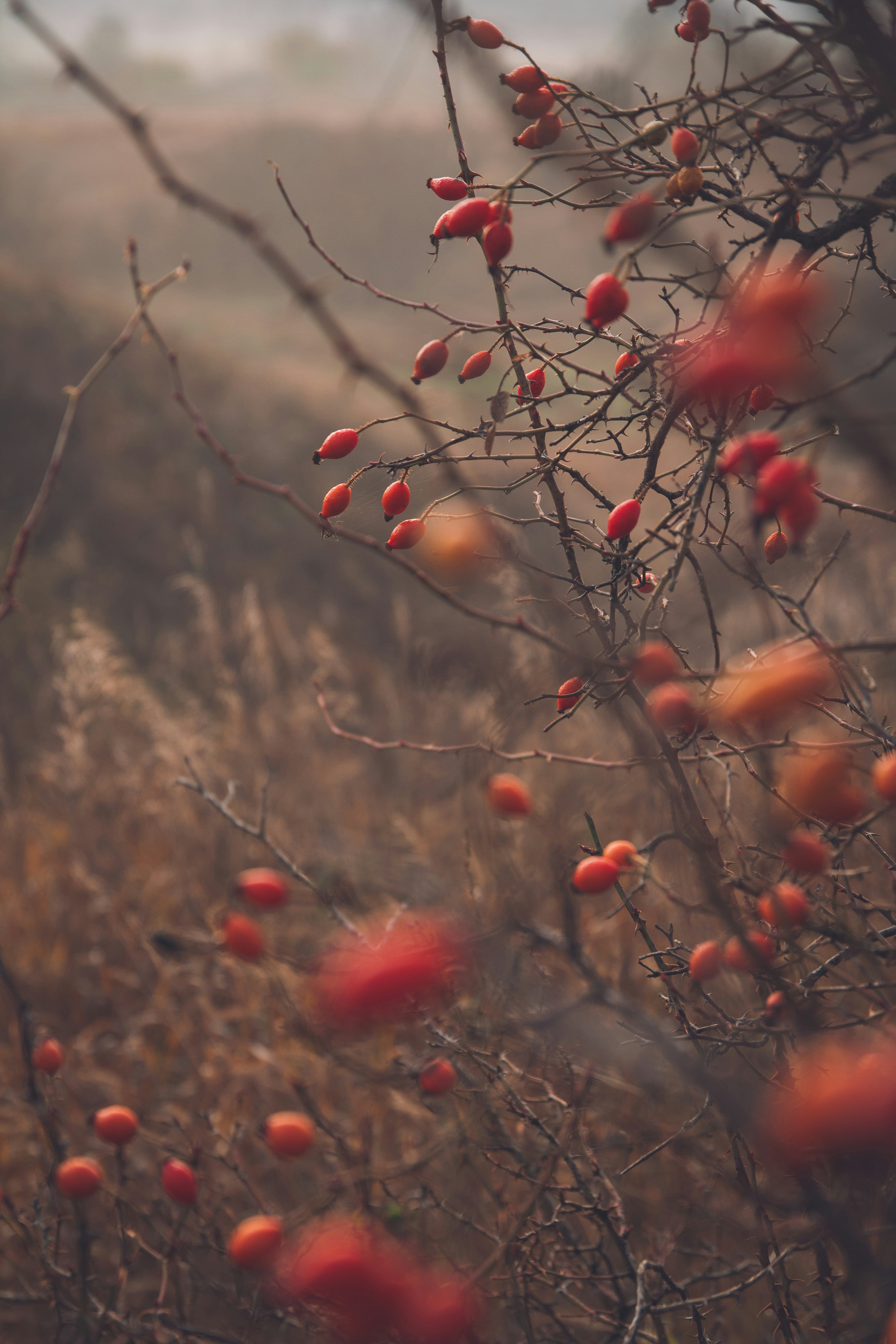 Photo by onmywayhome