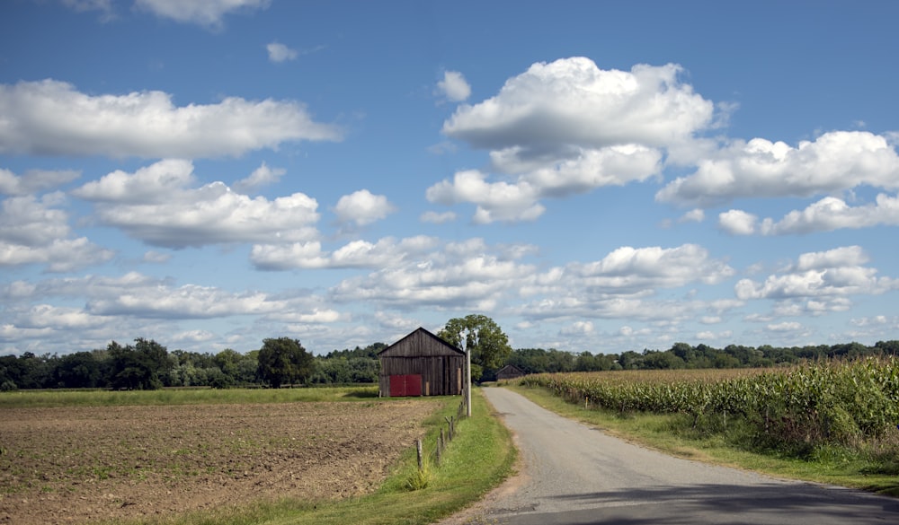 a country road with a barn in the distance