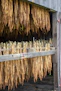 a barn filled with lots of dried plants
