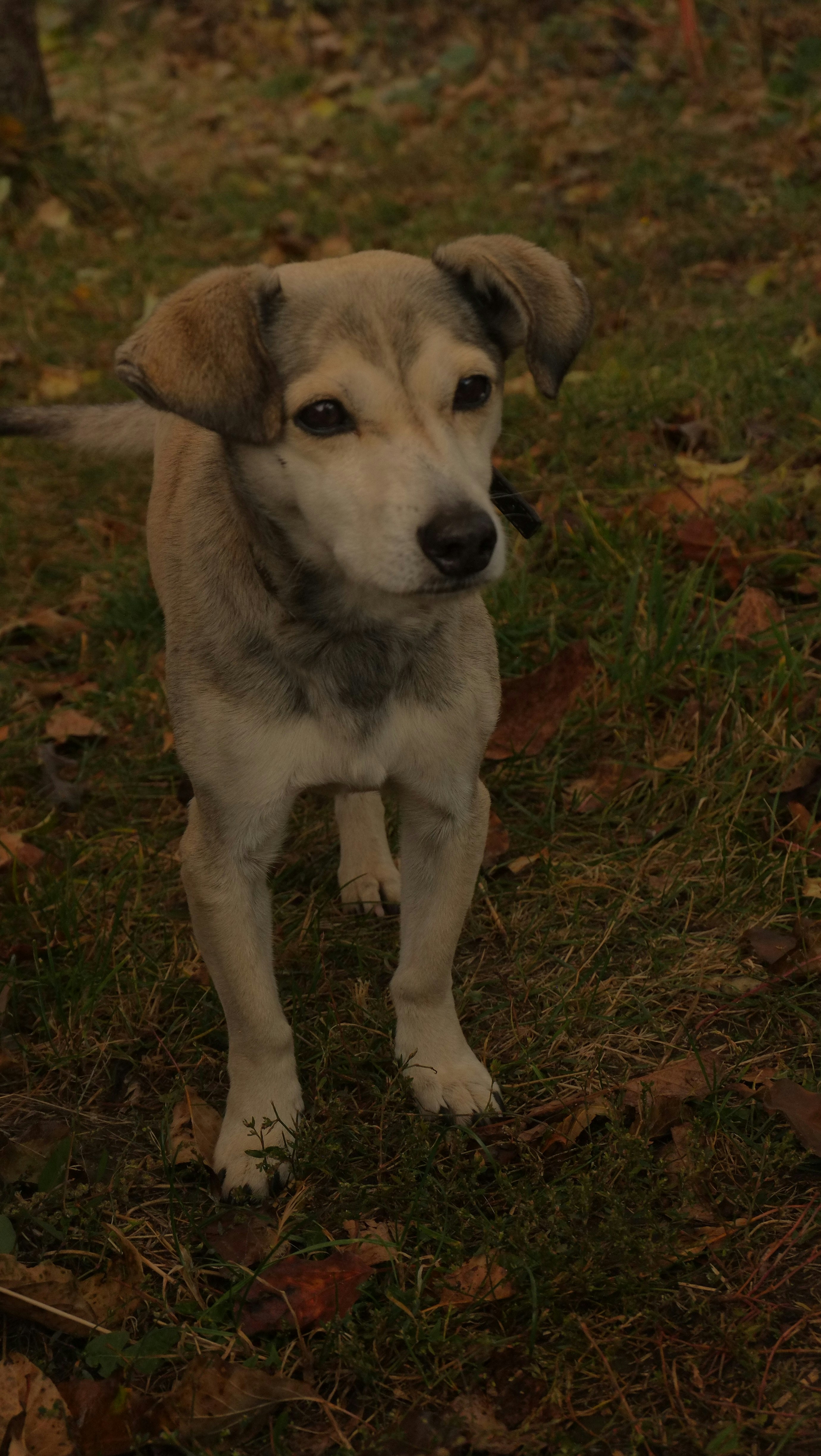 Photo by seva_pekarchuk