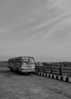 The bus parked near Paradise Island with palm trees swaying in the background.