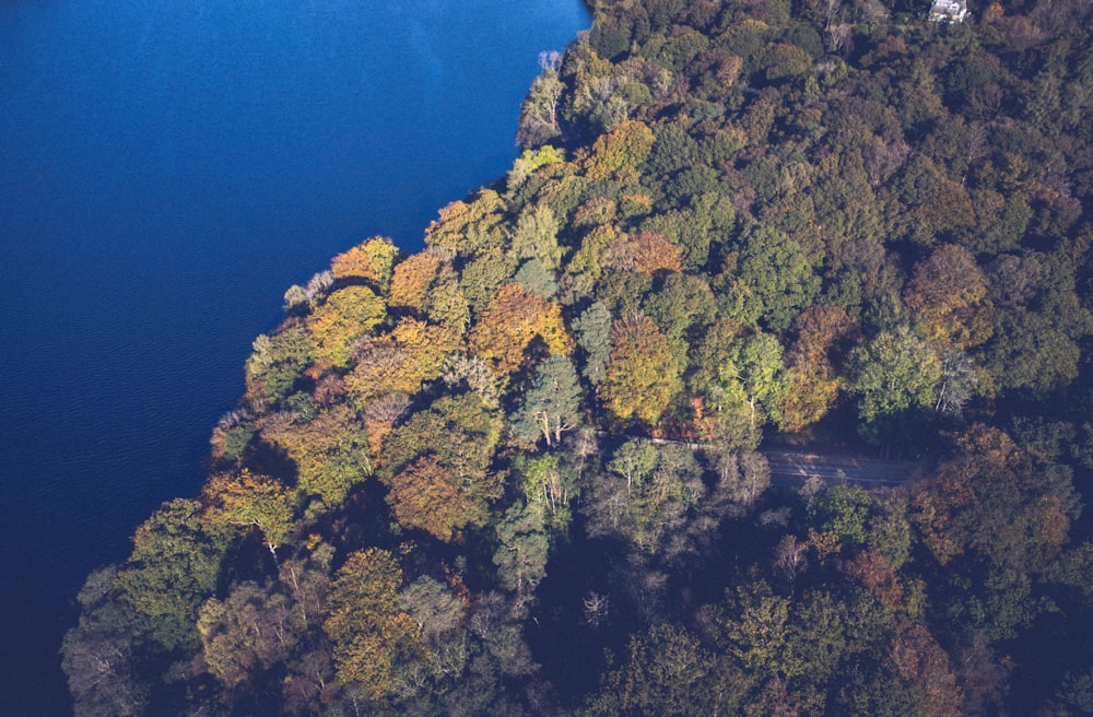 una veduta aerea di uno specchio d'acqua circondato da alberi