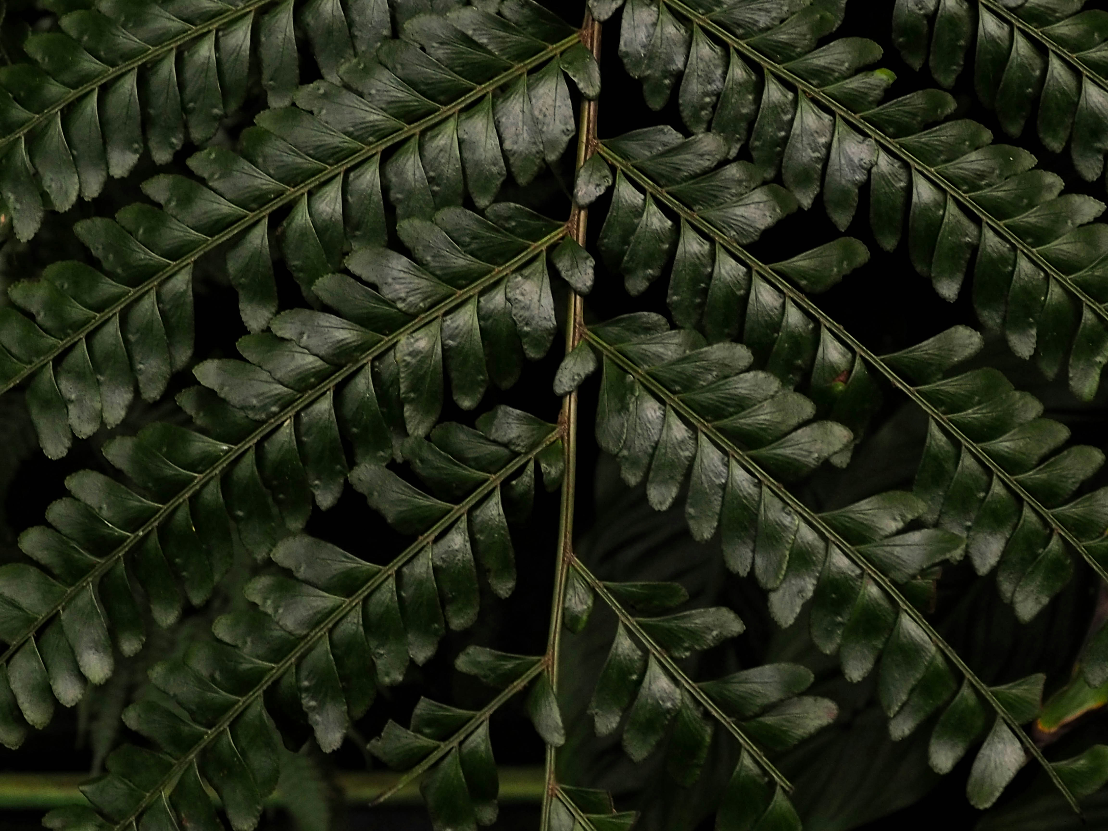 Photo by anna_c_wilhelm