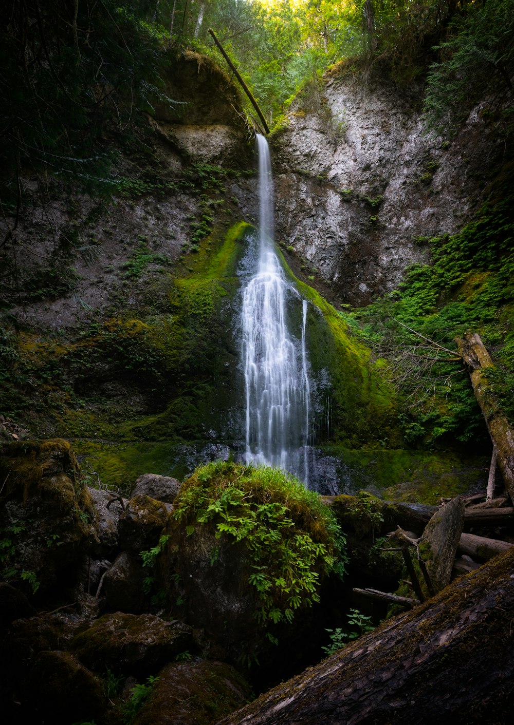 a small waterfall in the middle of a forest