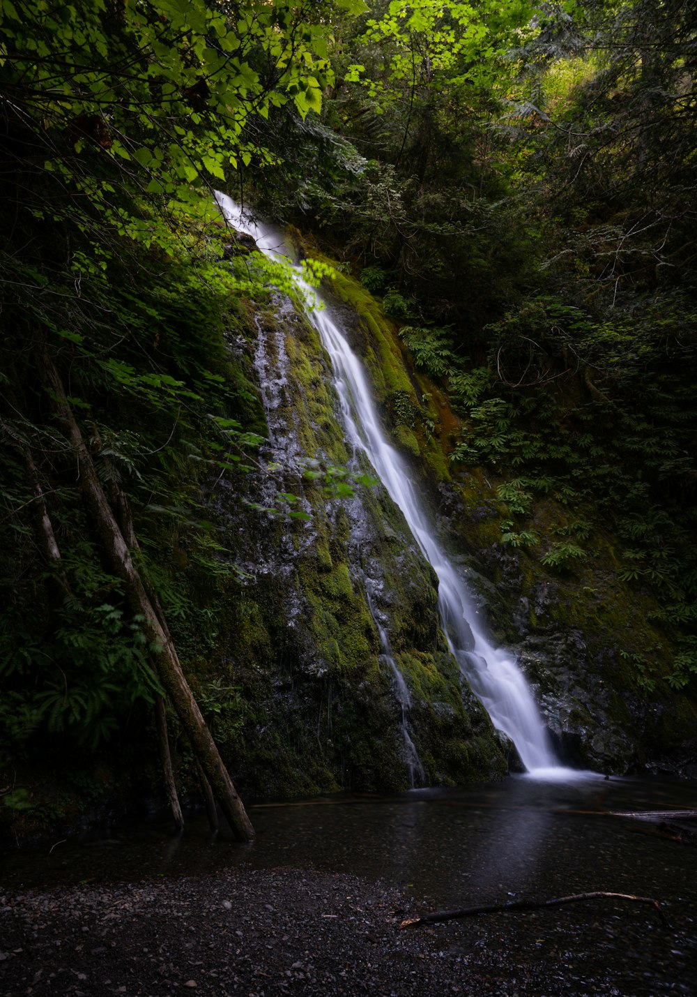 a waterfall in the middle of a forest