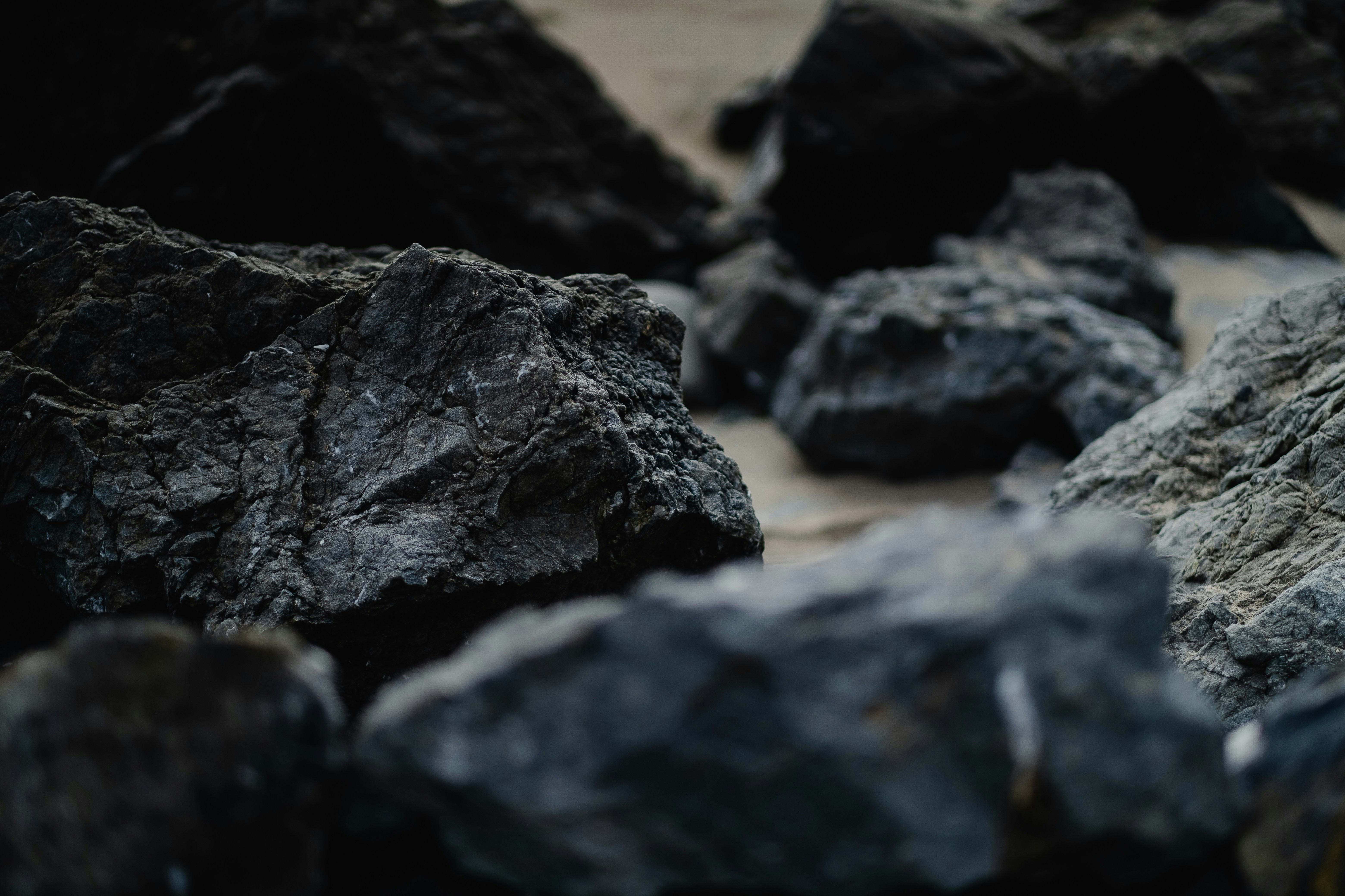 Photo by levimeirclancy