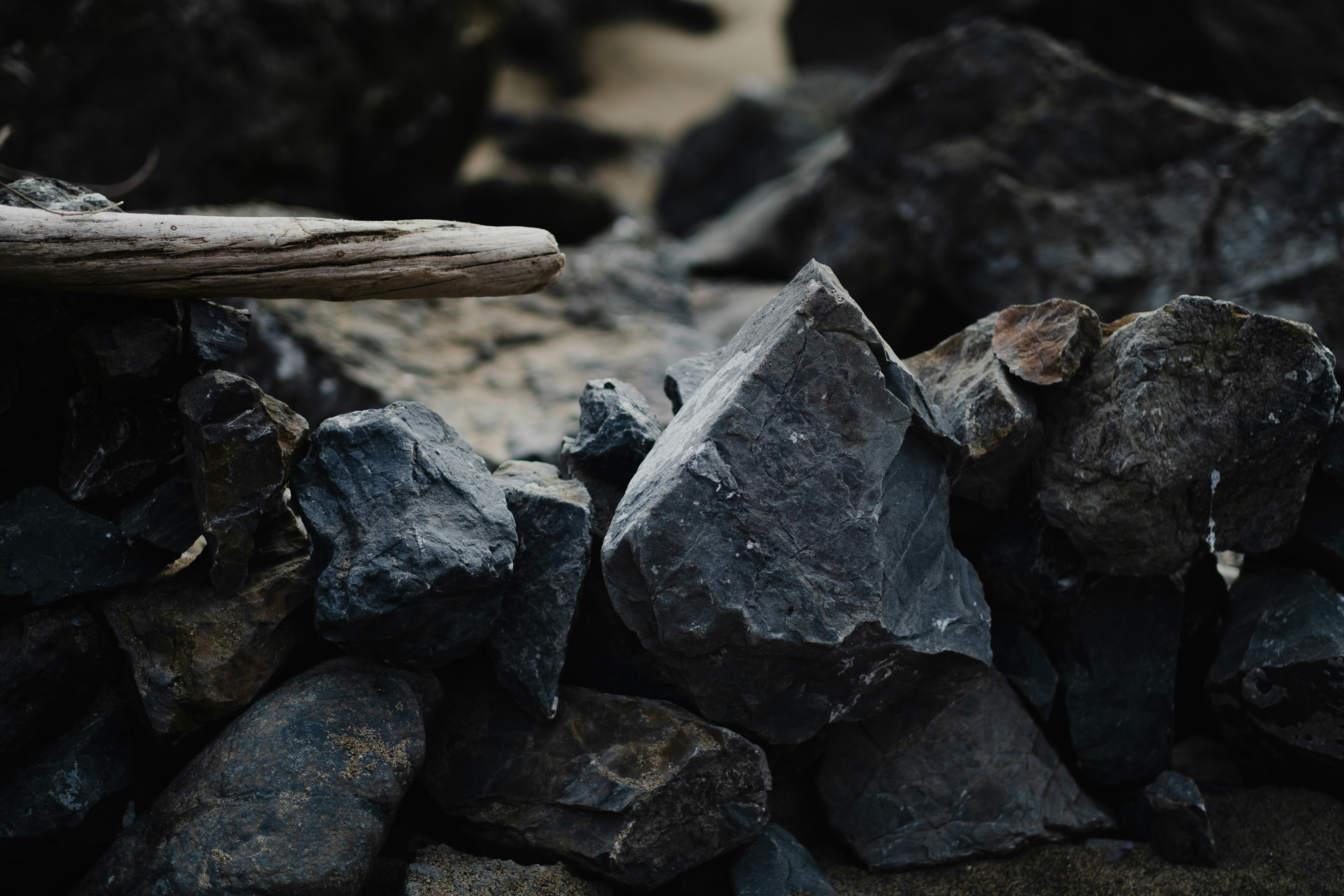 Photo by levimeirclancy