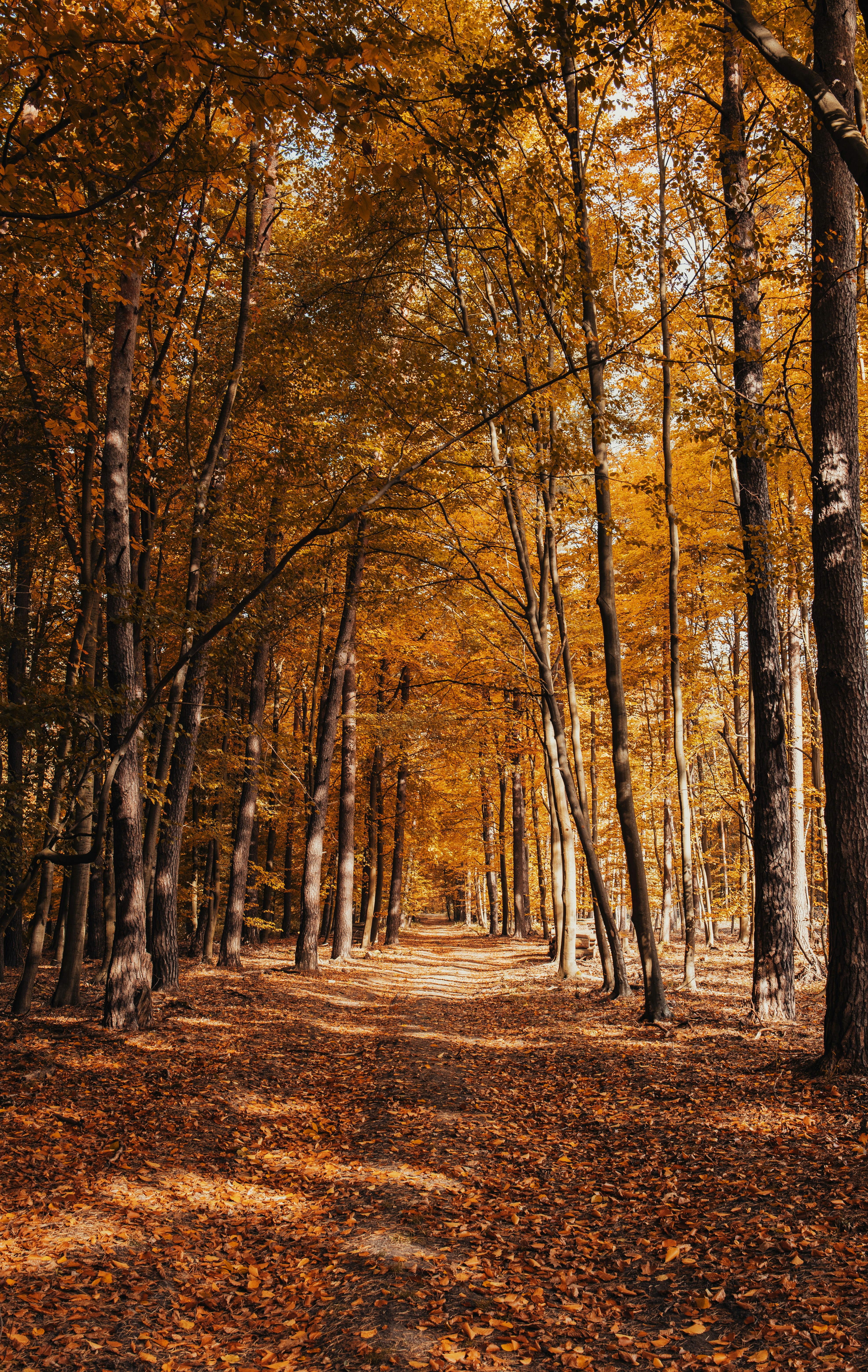 Photo by victor_vector