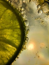 A cheerful, colorful illustration of a lemon slice with a big smile, floating atop a bubbly drink.