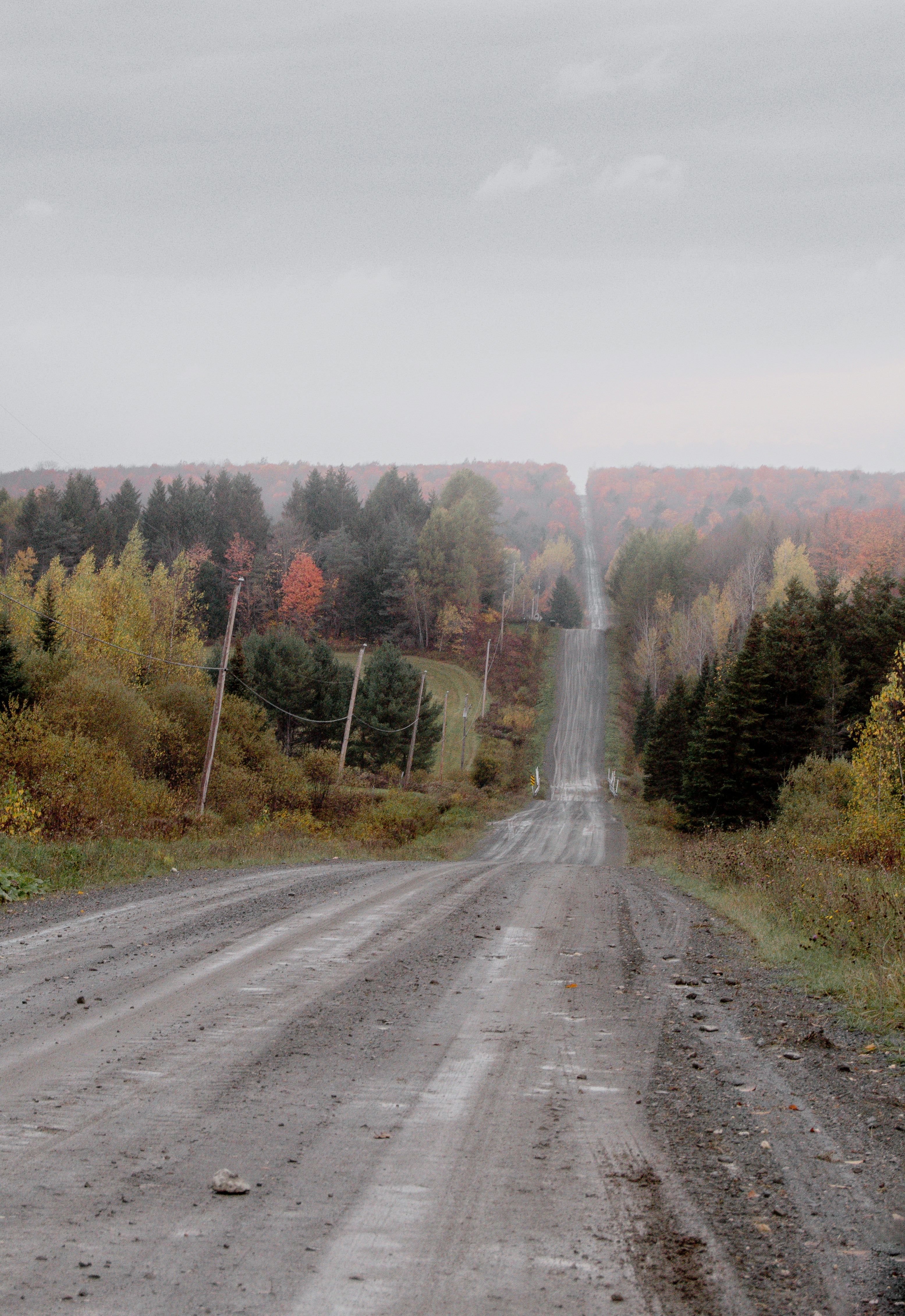 Photo by marjoriepear