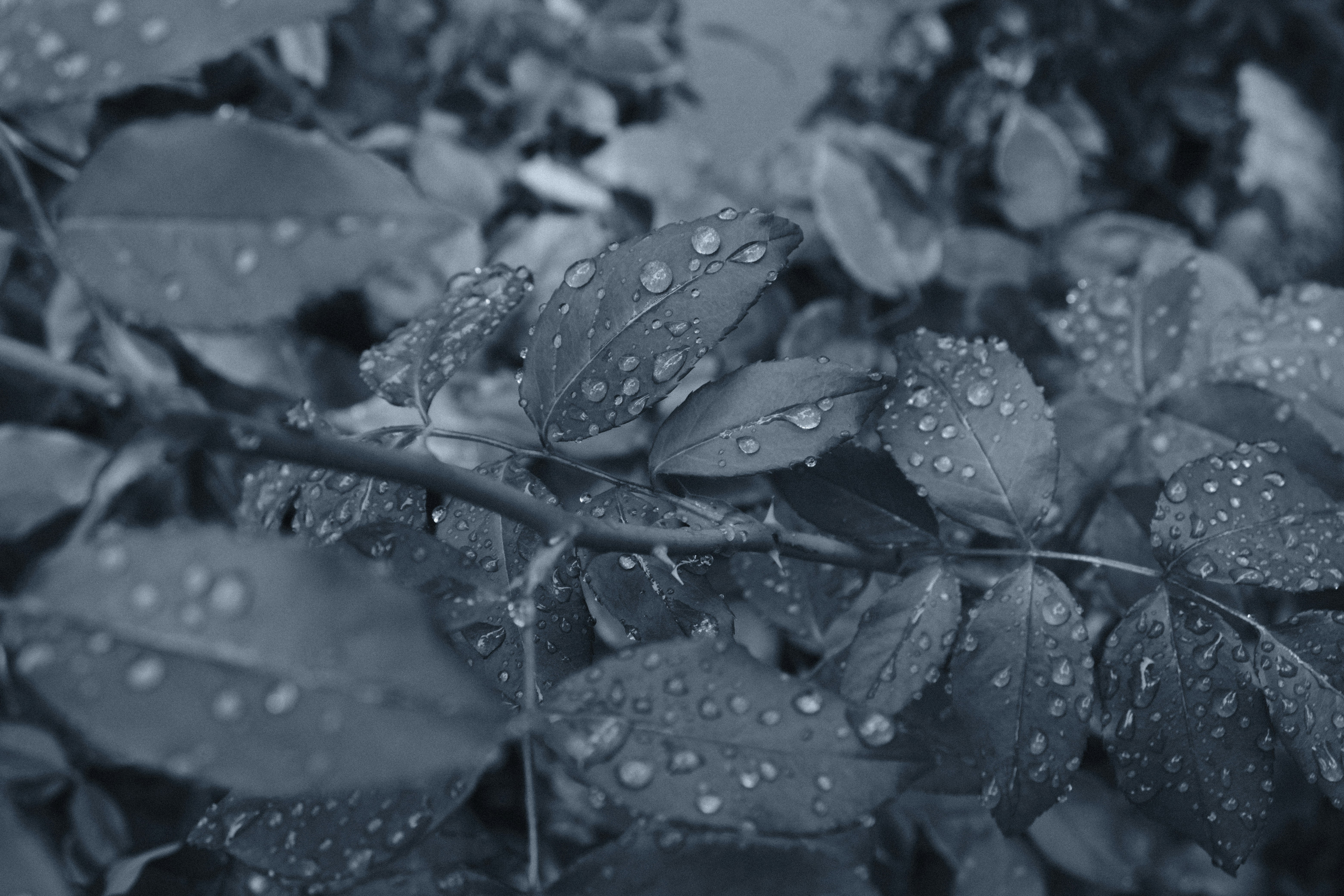 Photo by chandleraitchison