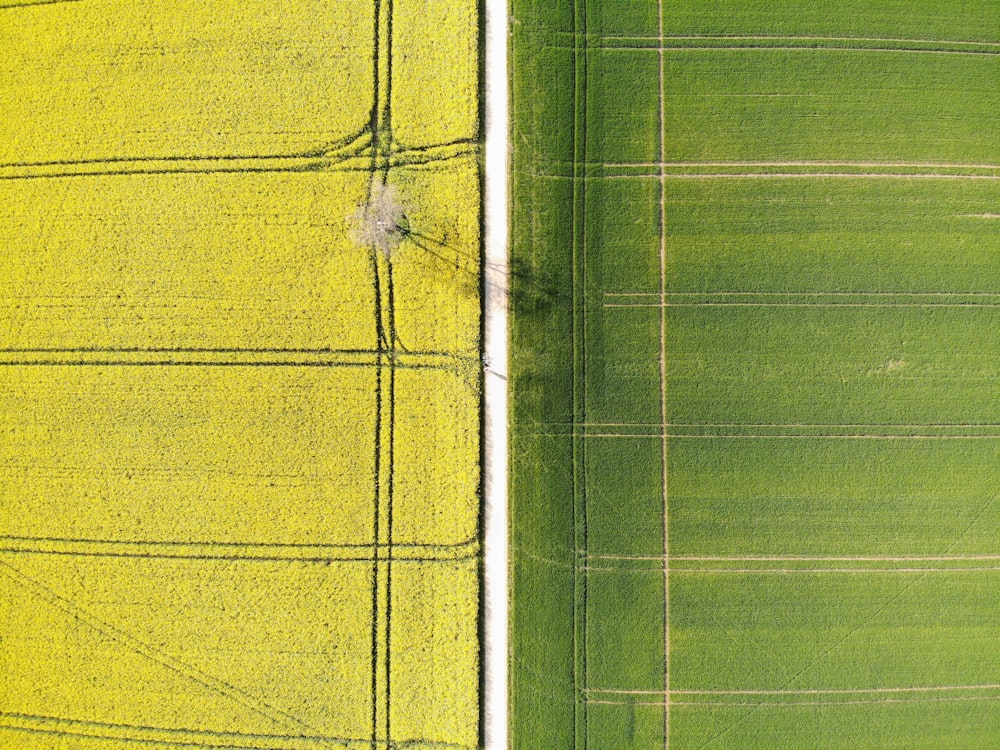 an aerial view of a green field and a yellow field