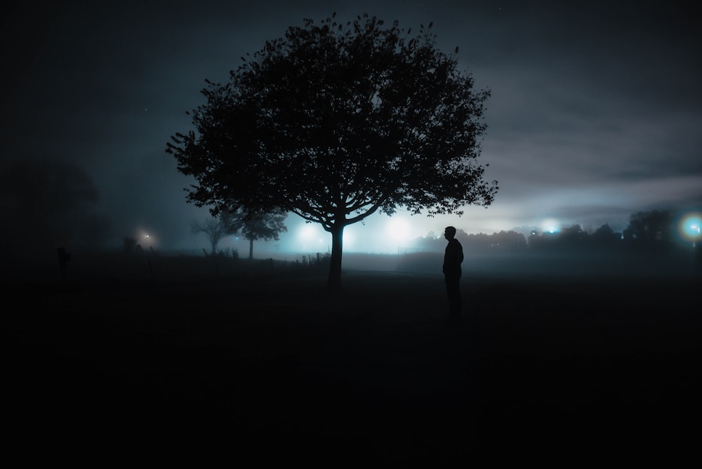 a tree in a dark cloudy sky