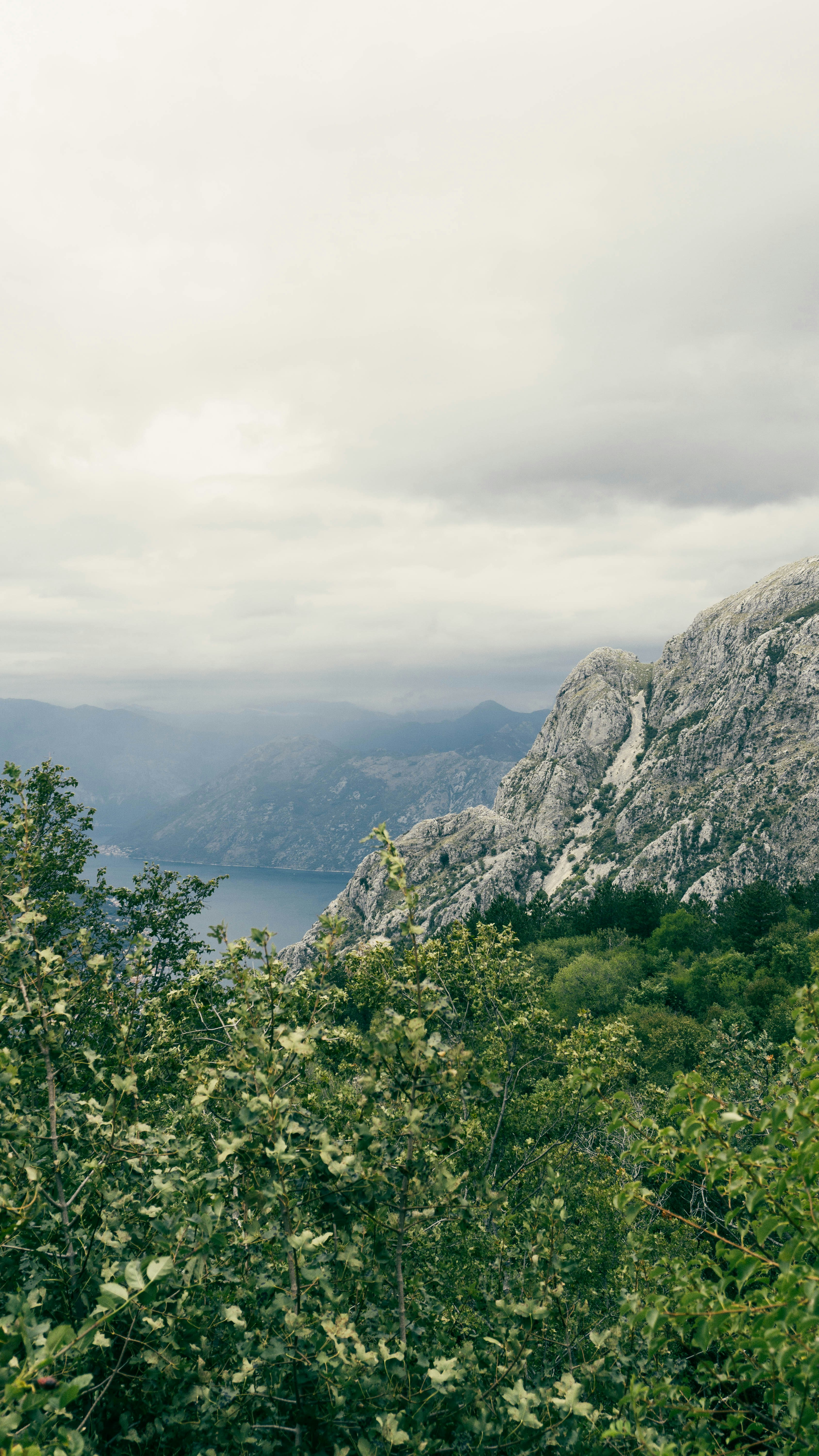 Photo by anainsomnia