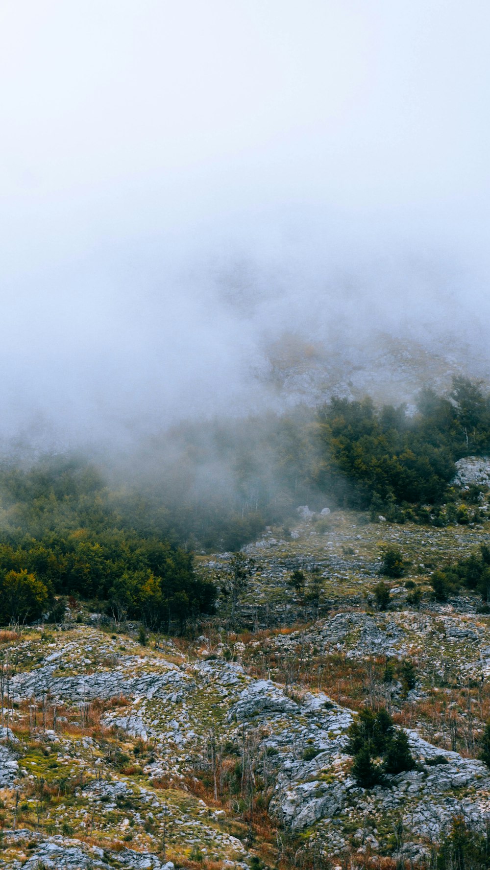 a mountain covered in fog and low lying vegetation