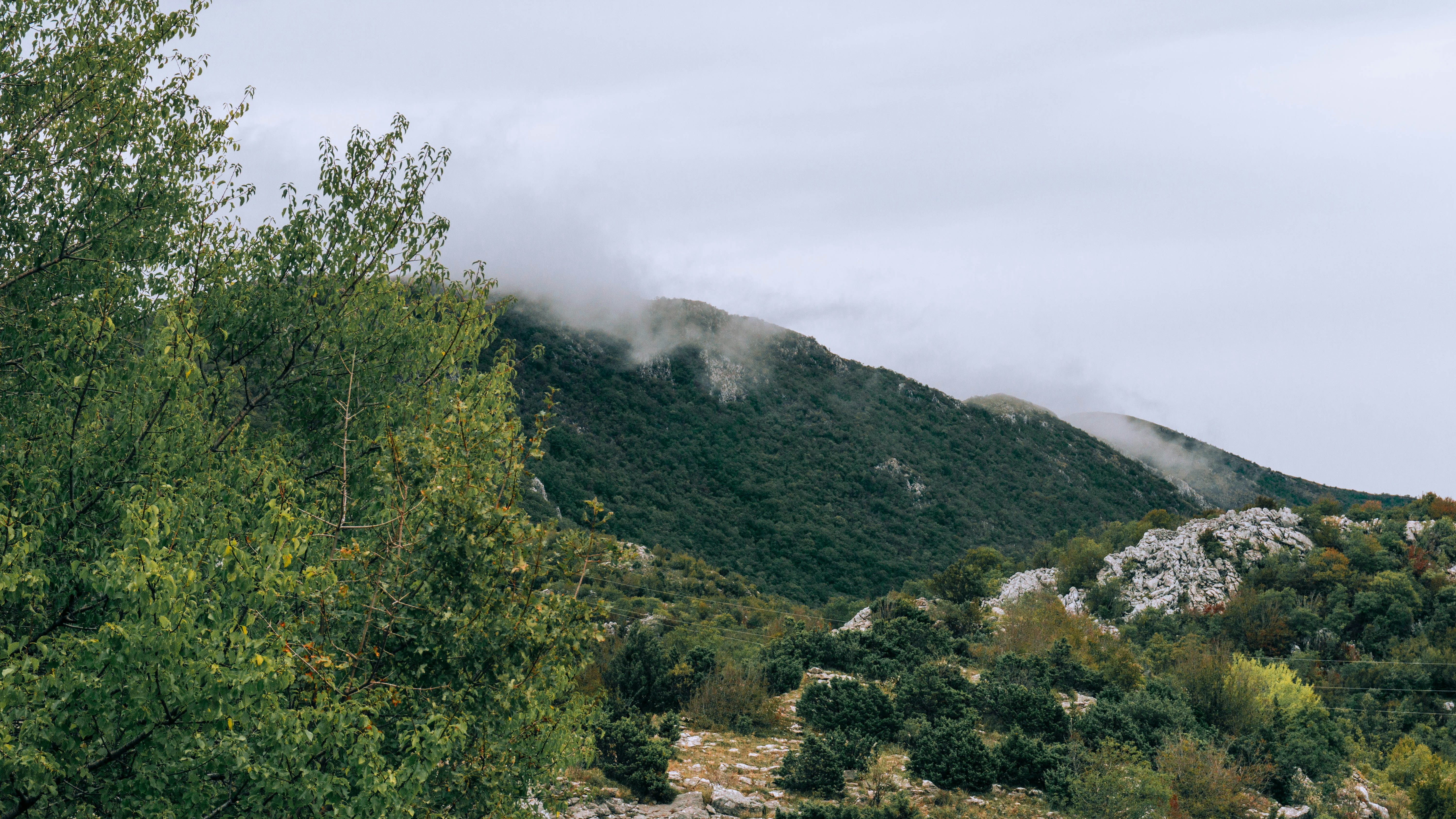 Photo by anainsomnia