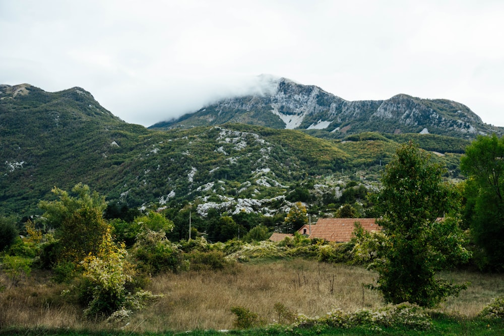 a house in the middle of a field with mountains in the background