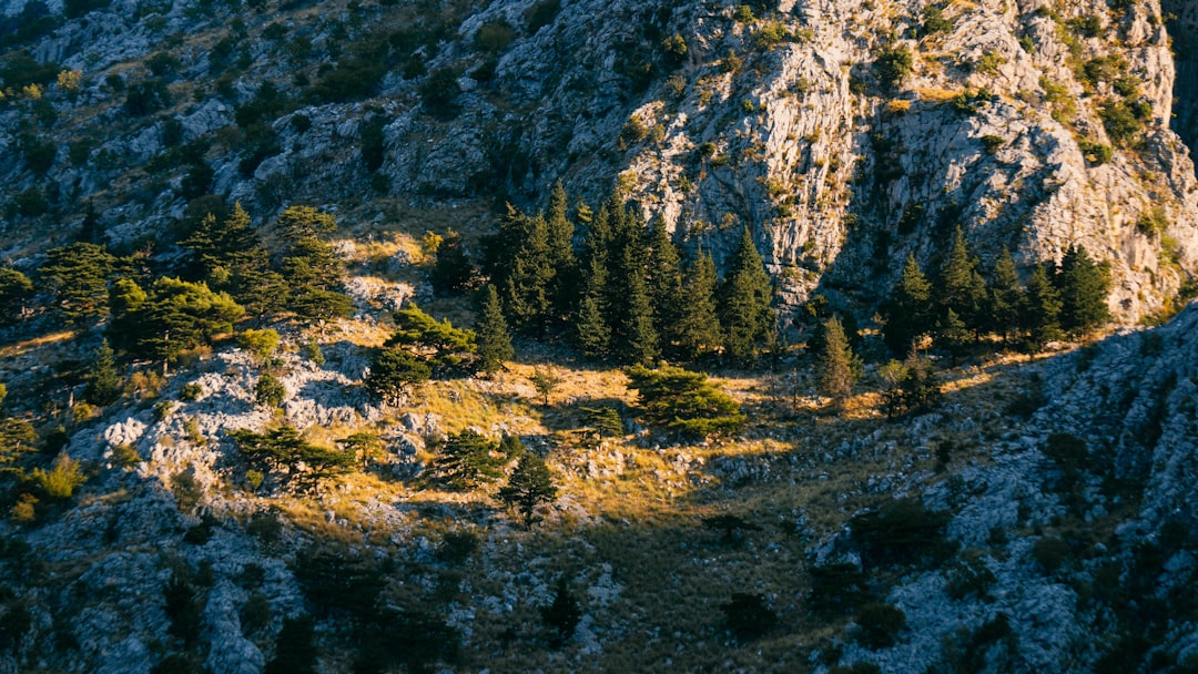 a mountain with trees on the side of it,