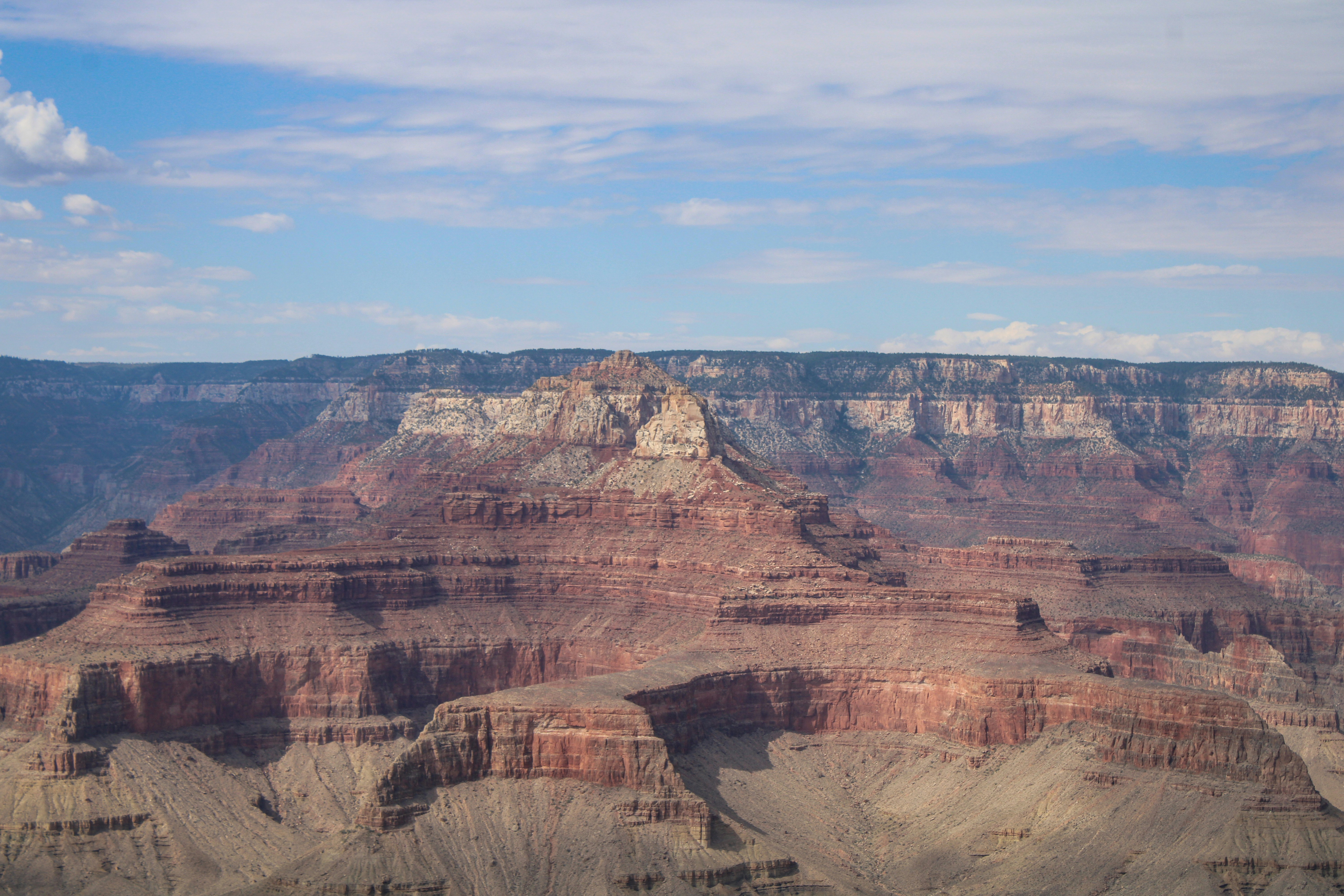 Photo by meshaxphotography