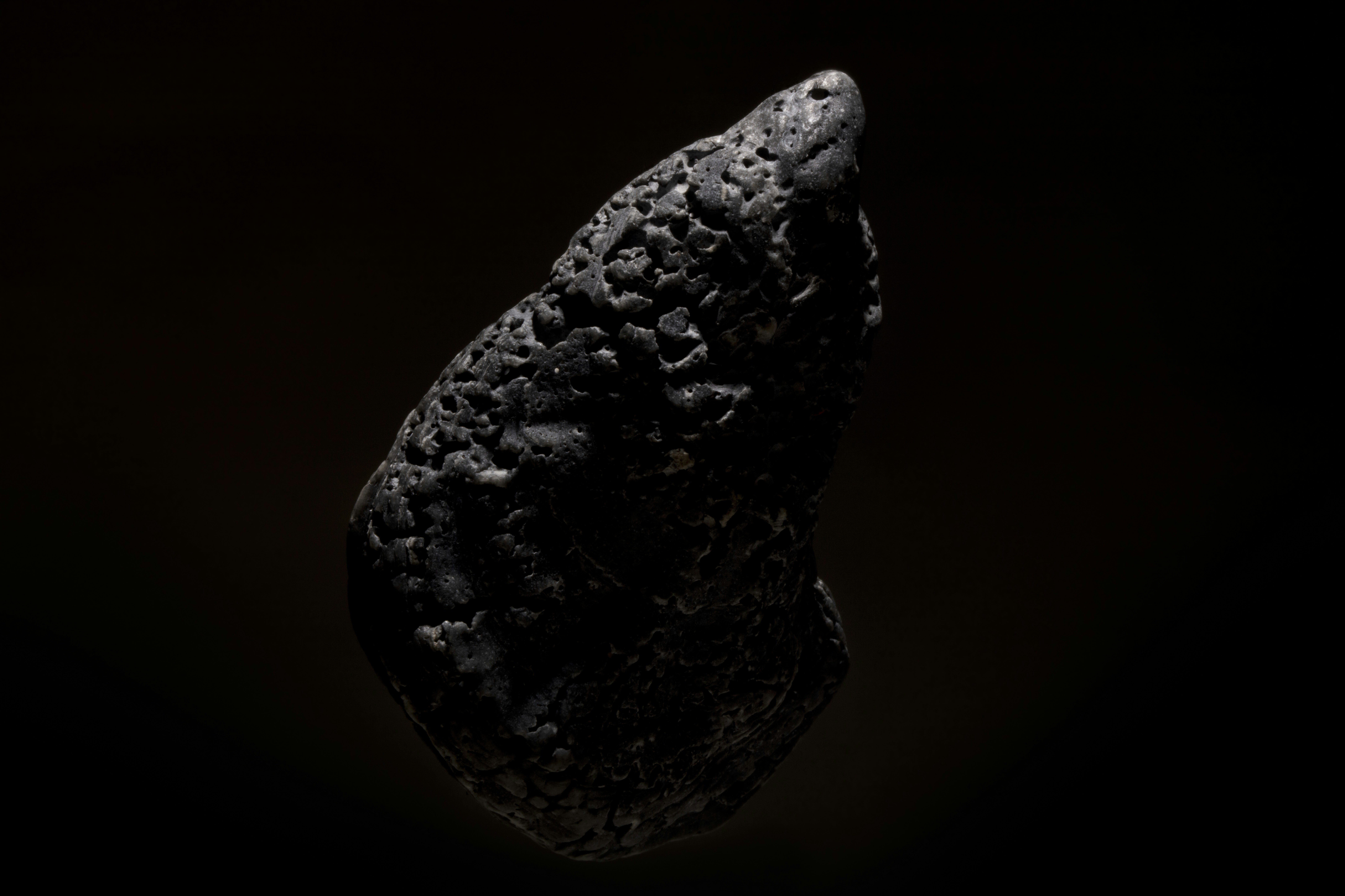 Photo by epricephoto