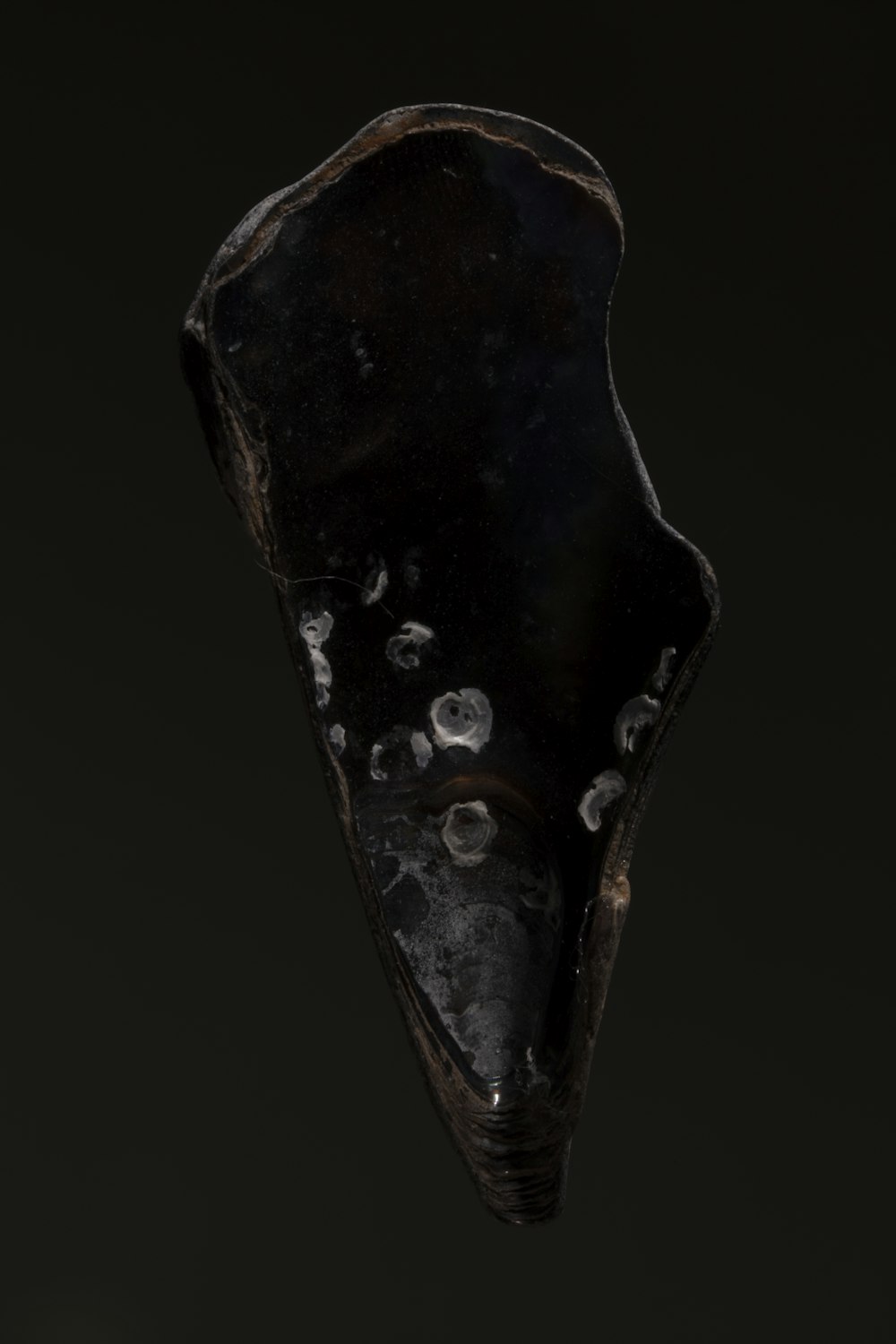 a close up of a black object on a black background
