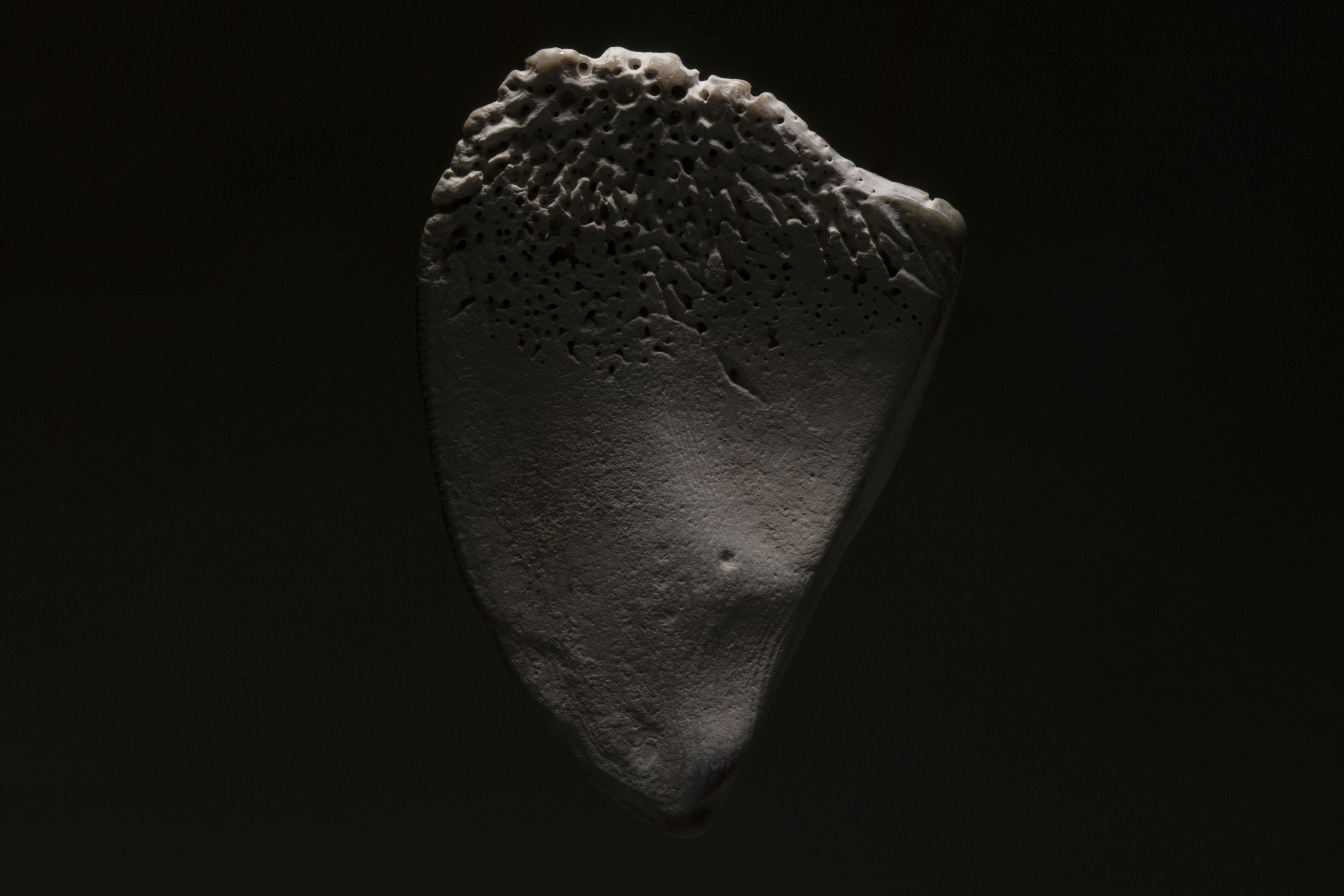 Photo by epricephoto