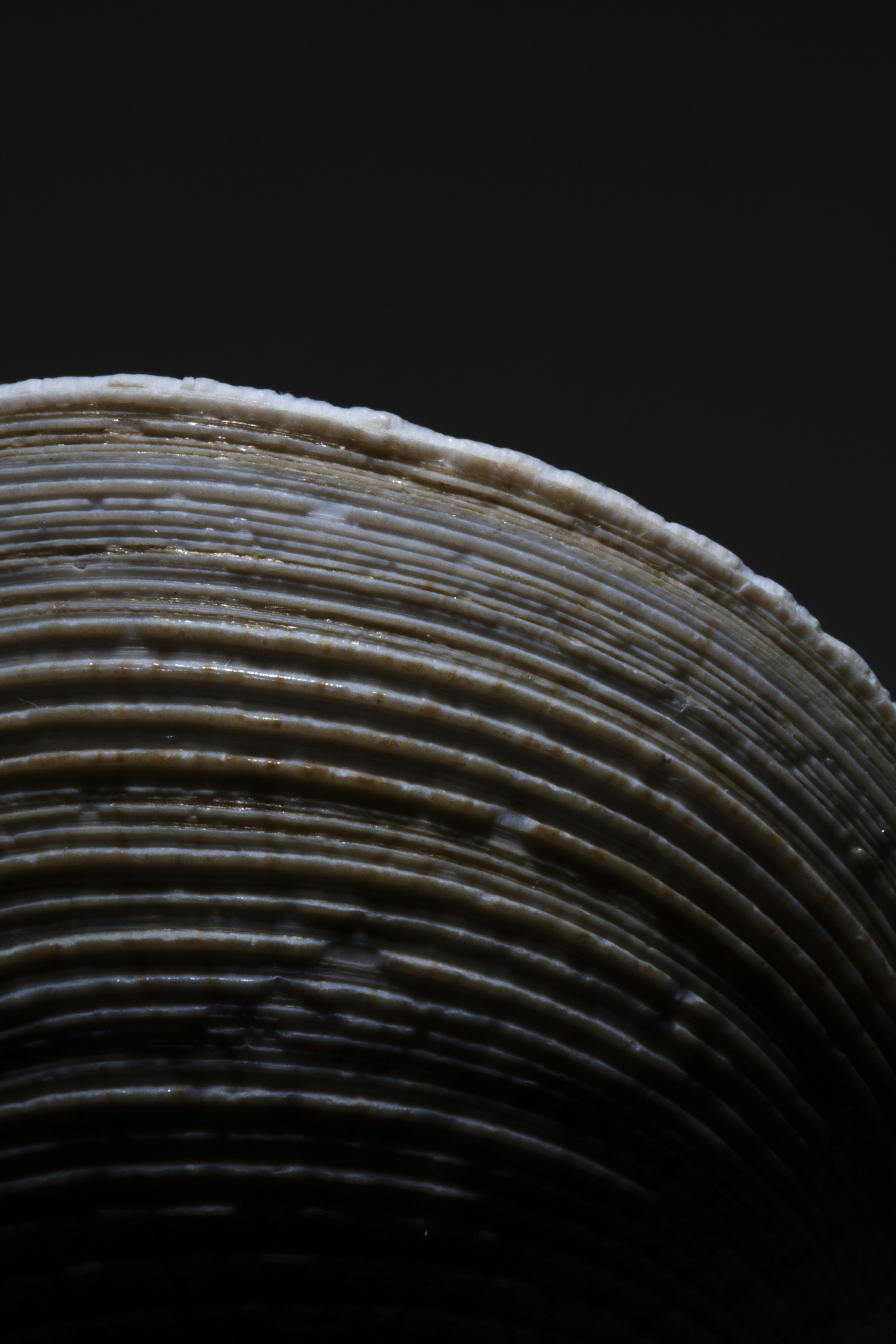 Photo by epricephoto